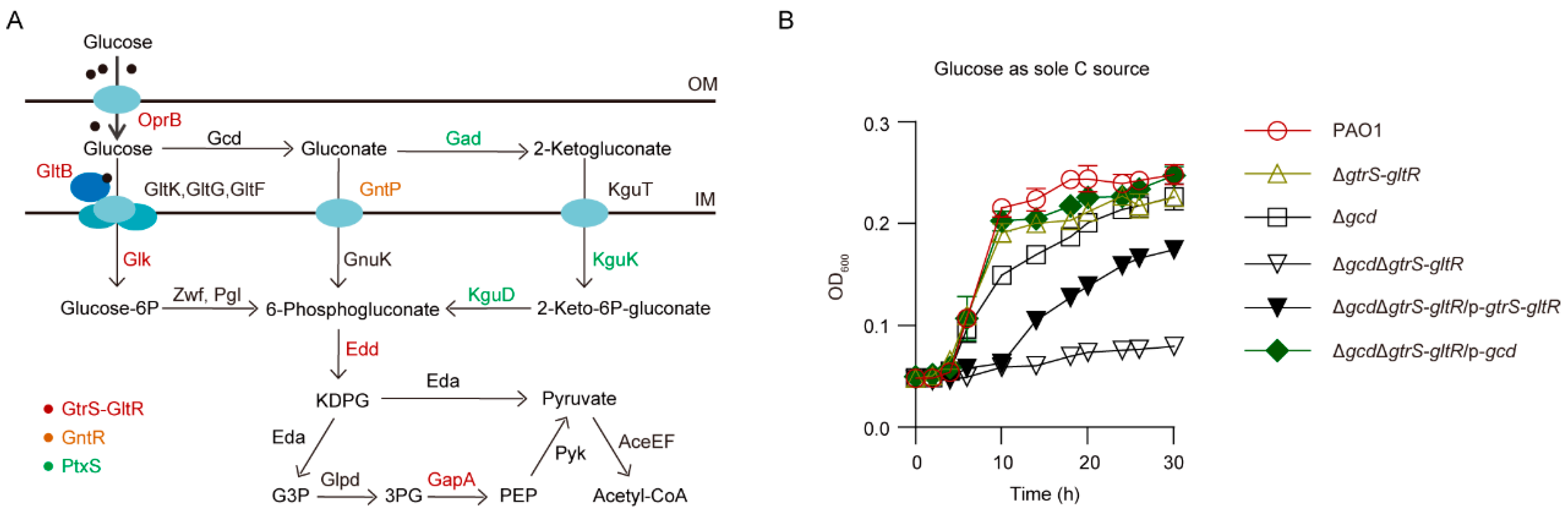 Microorganisms 09 00447 g001