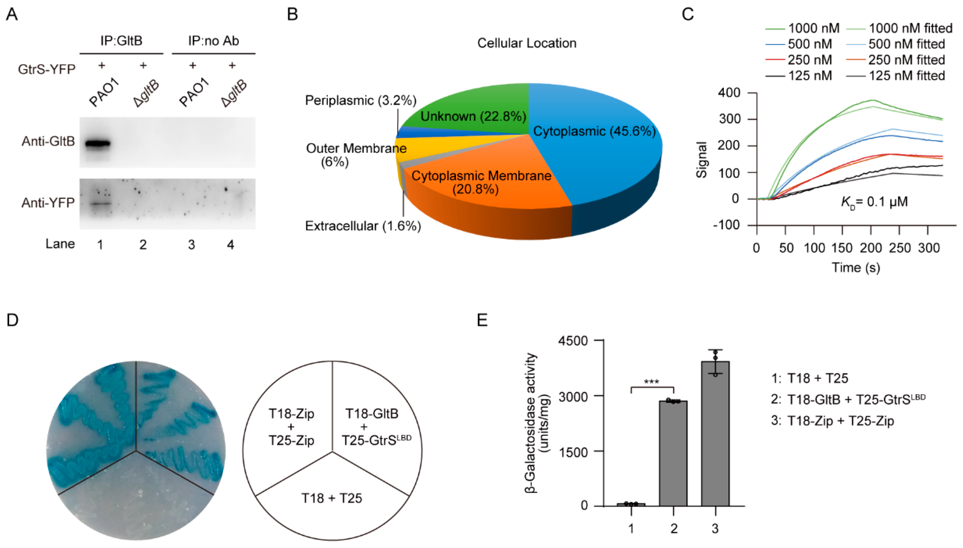 Microorganisms 09 00447 g005