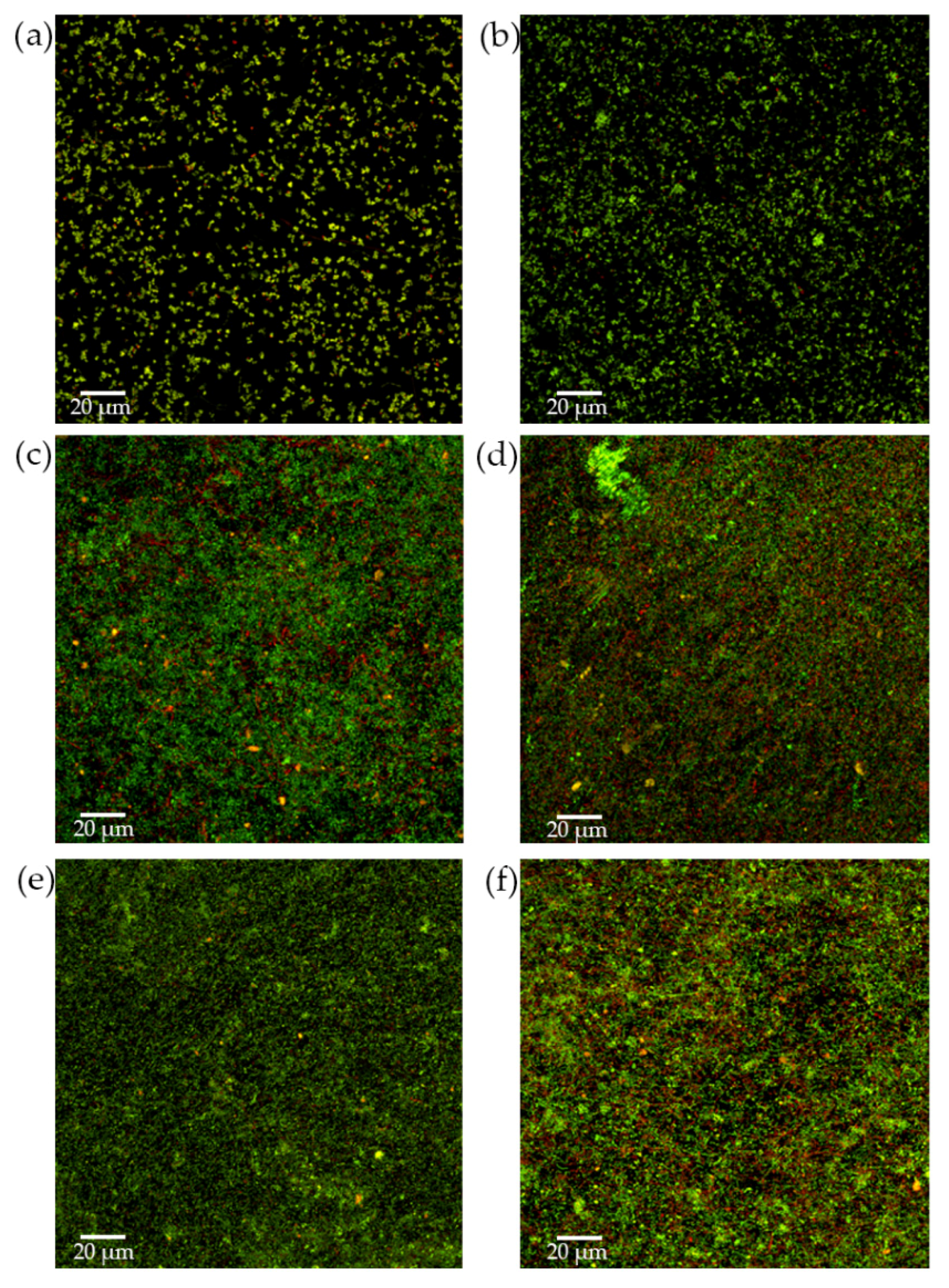 Microorganisms 09 00450 g003 Microorganisms 09 00450 g003