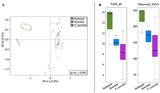Microorganisms | Free Full-Text | Impact of Marine Aquaculture on the ...