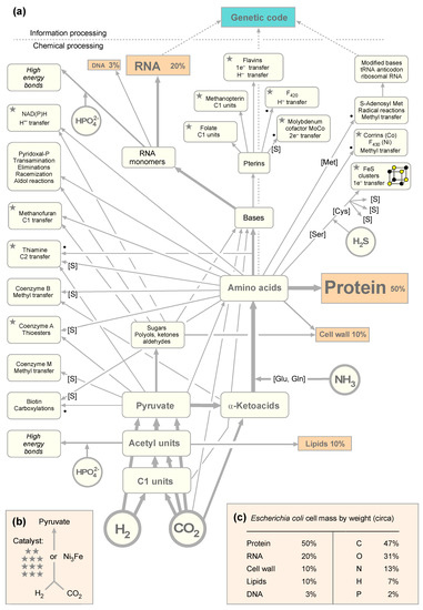 Microorganisms, Free Full-Text