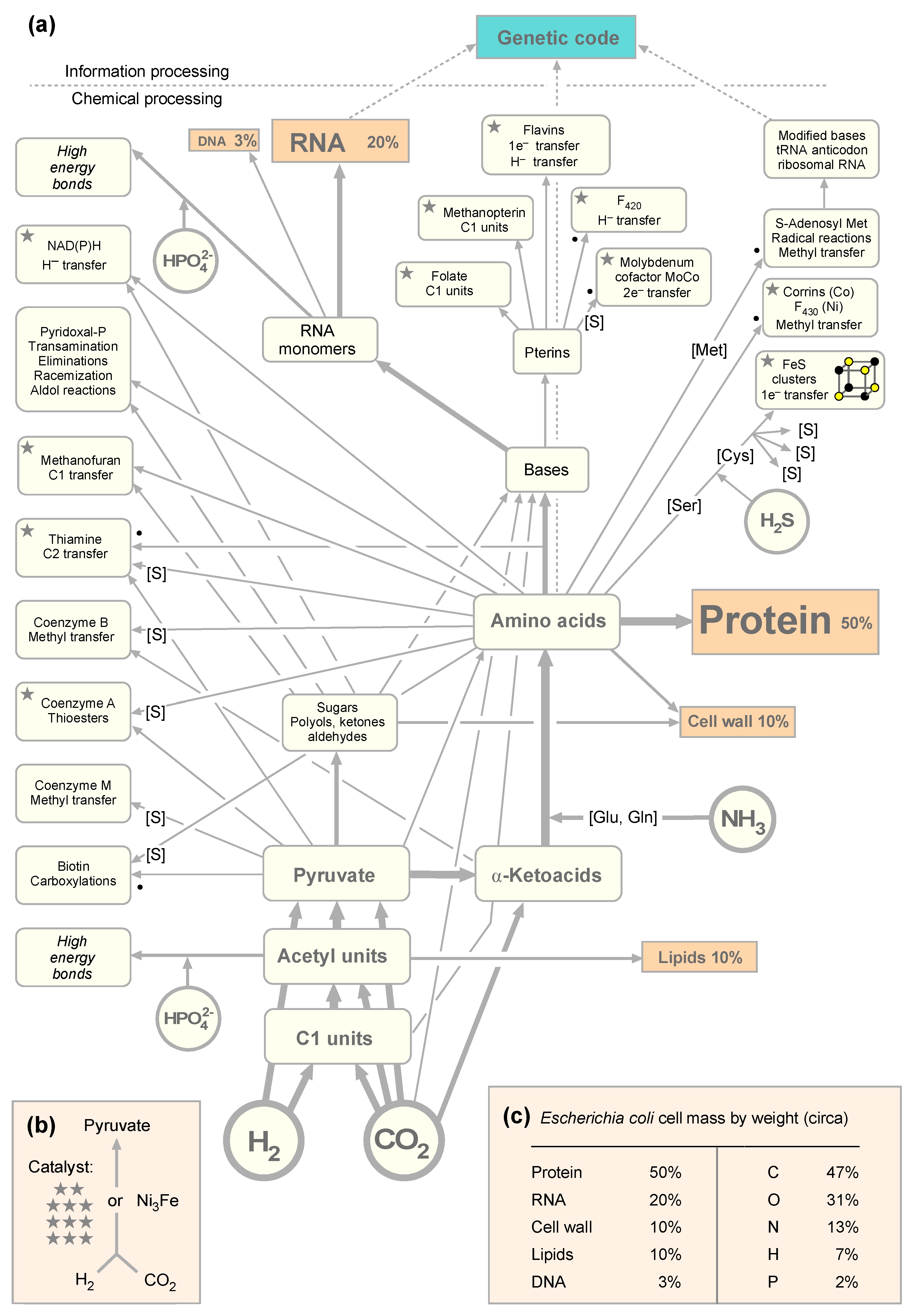 Microorganisms 09 00458 g001 Microorganisms 09 00458 g001