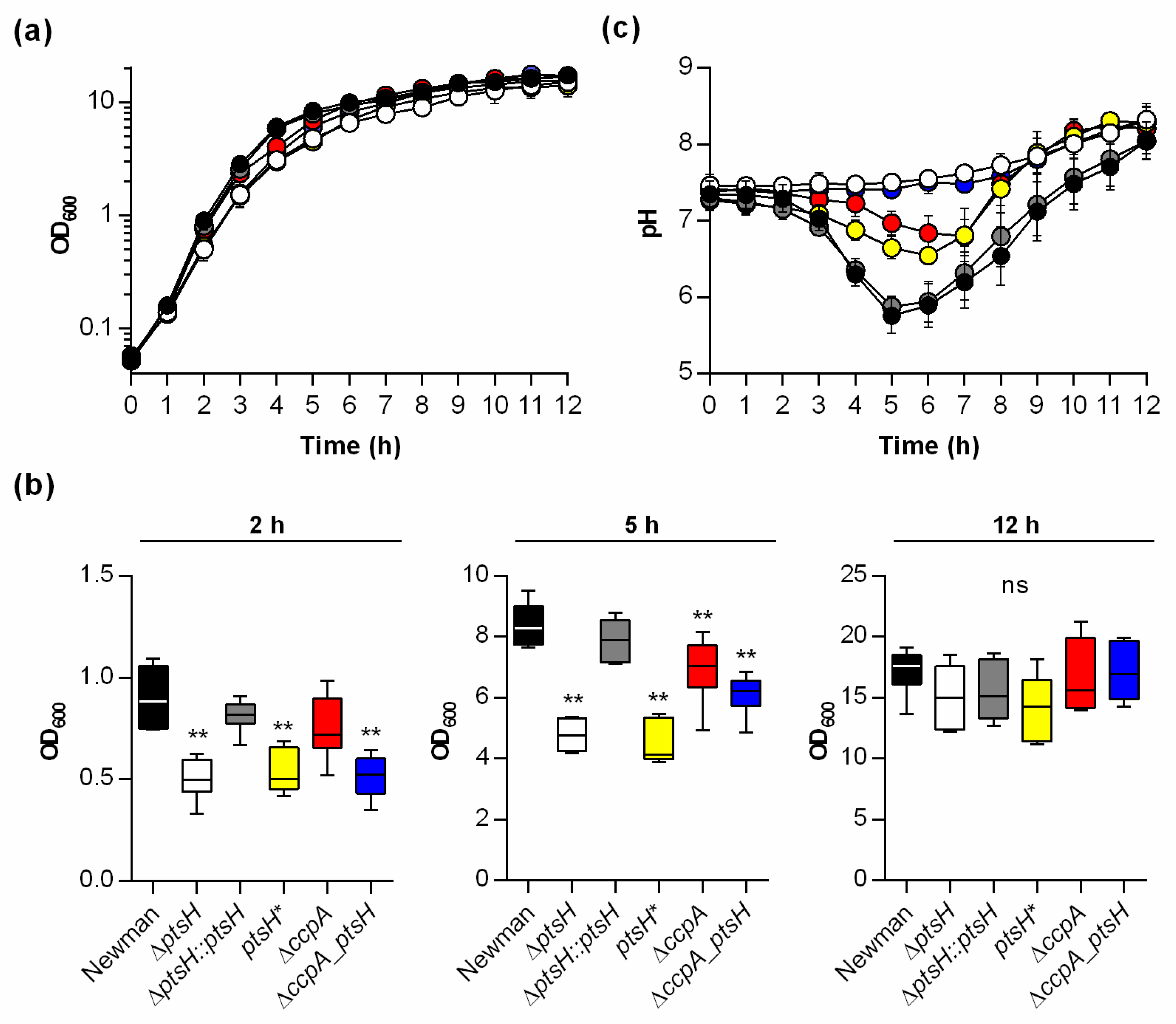 Microorganisms 09 00466 g001 Microorganisms 09 00466 g001