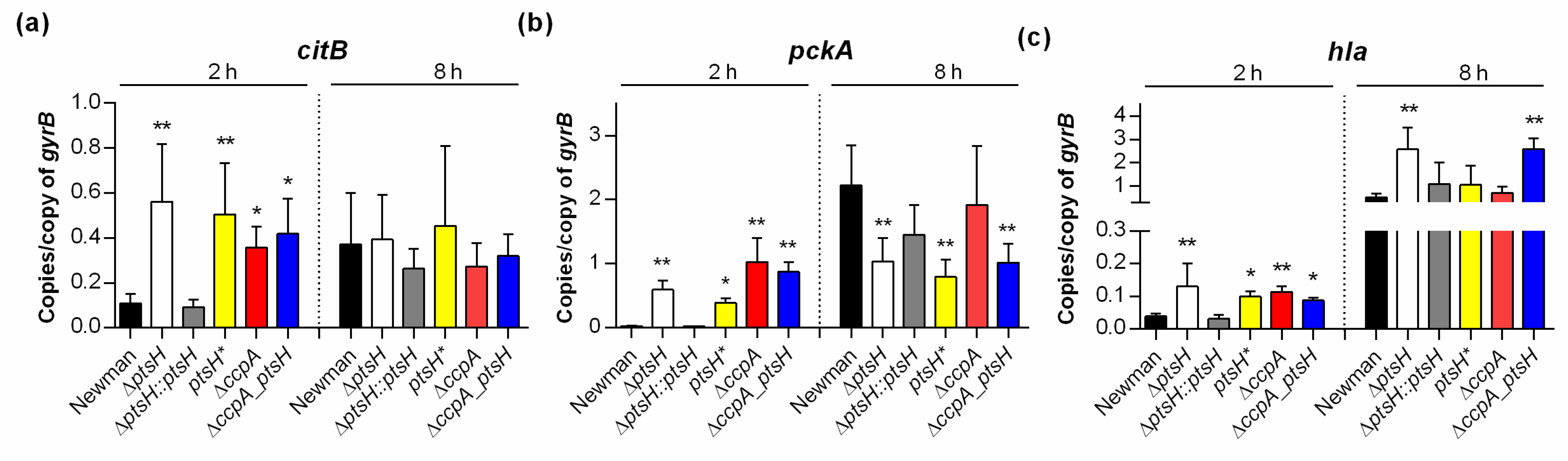 Microorganisms 09 00466 g003 Microorganisms 09 00466 g003