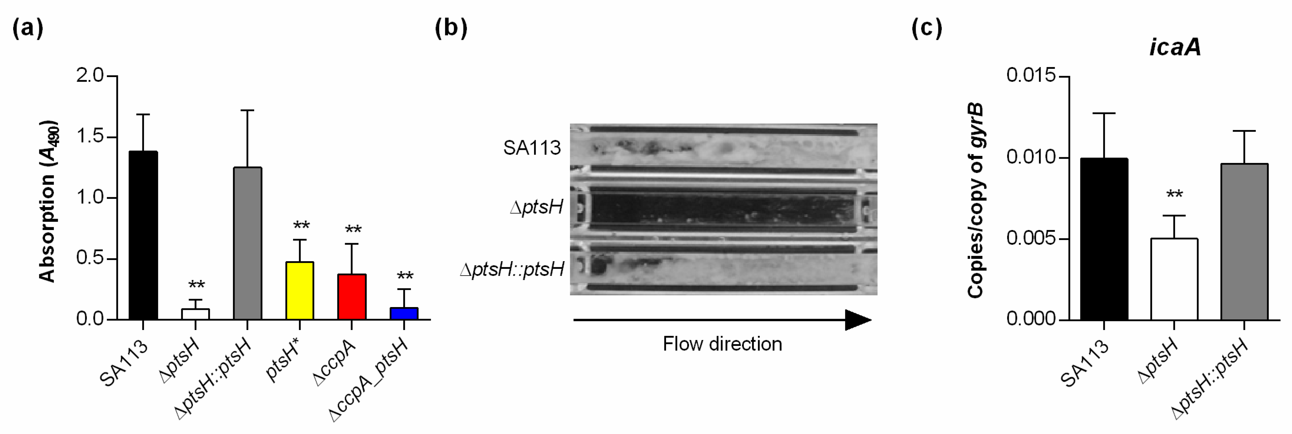 Microorganisms 09 00466 g004 Microorganisms 09 00466 g004