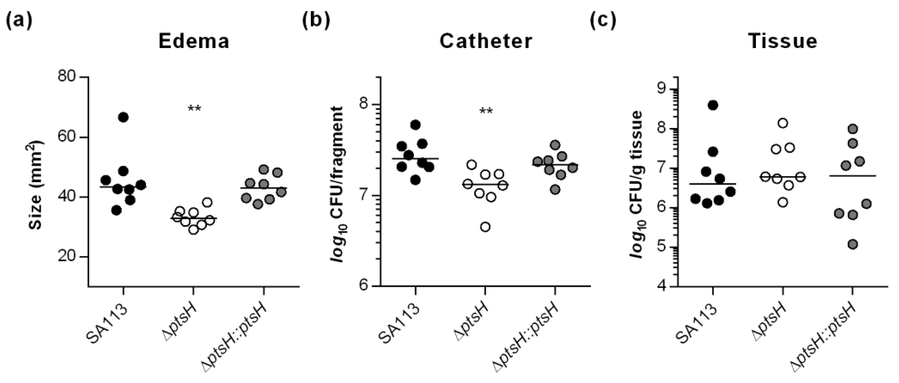 Microorganisms 09 00466 g006 Microorganisms 09 00466 g006