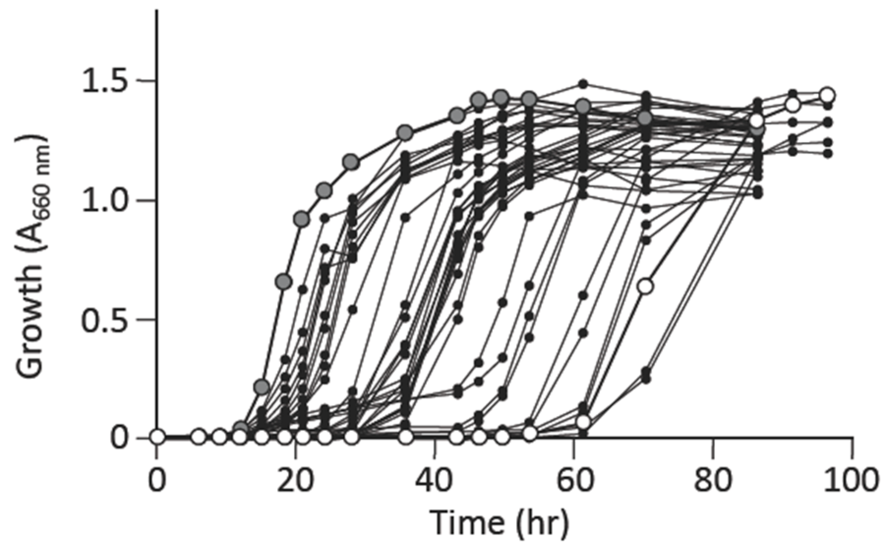 Microorganisms 09 00472 g002 Microorganisms 09 00472 g002