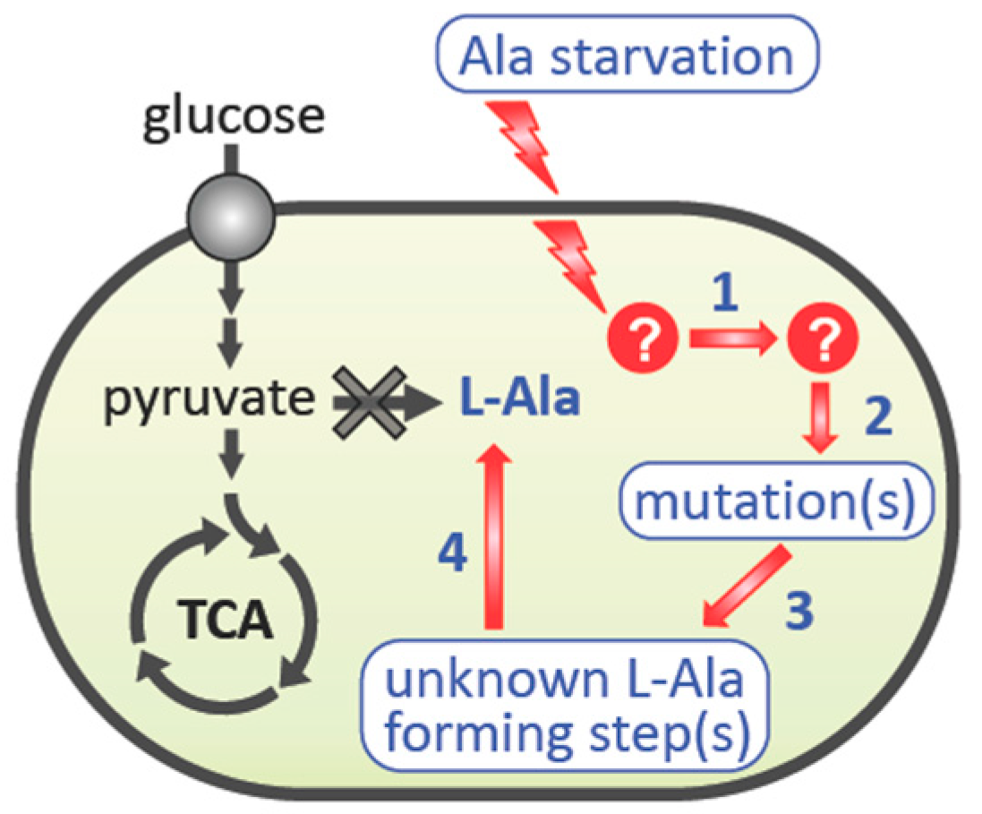 Microorganisms 09 00472 g007 Microorganisms 09 00472 g007