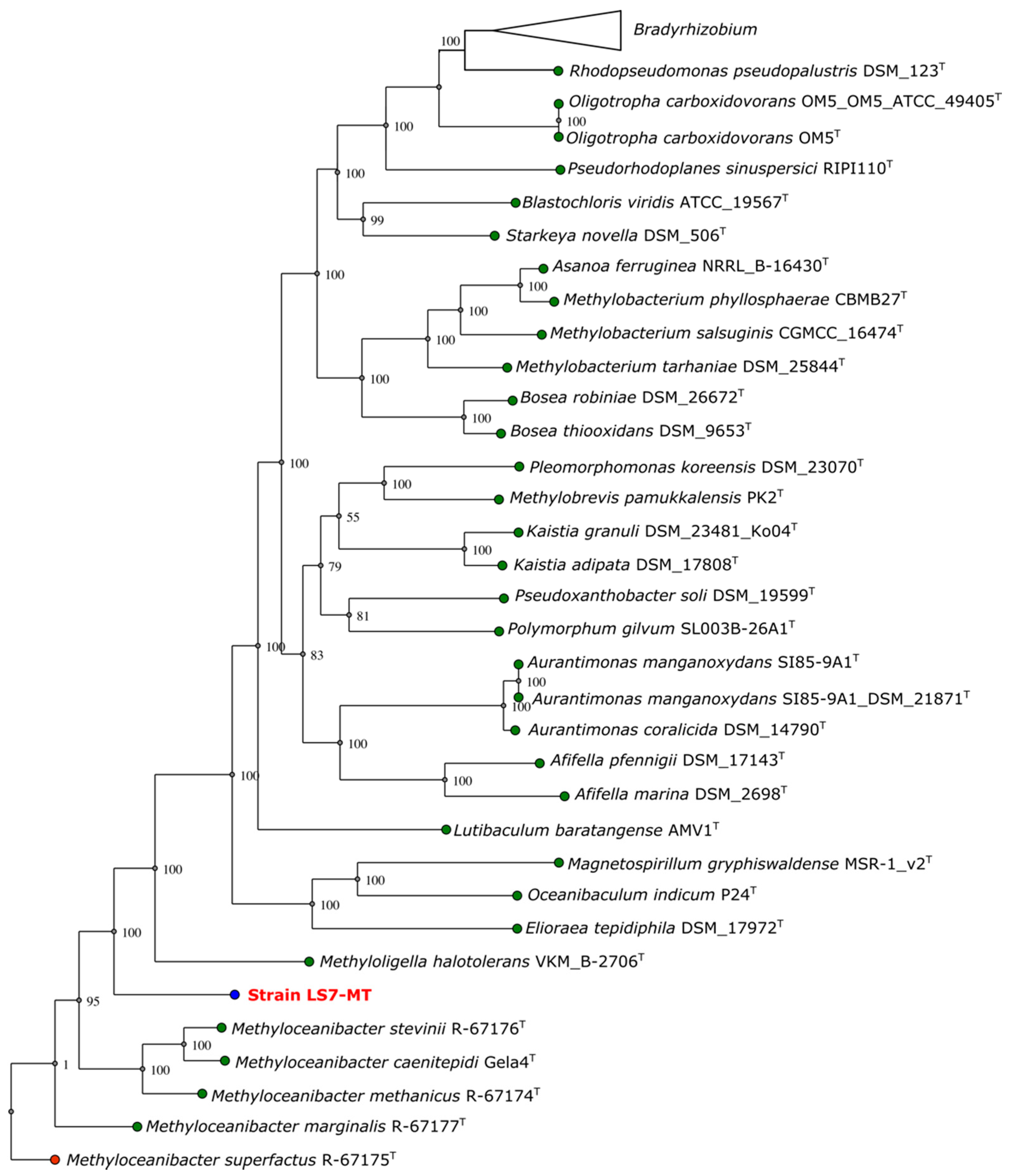 Microorganisms 09 00477 g003 Microorganisms 09 00477 g003
