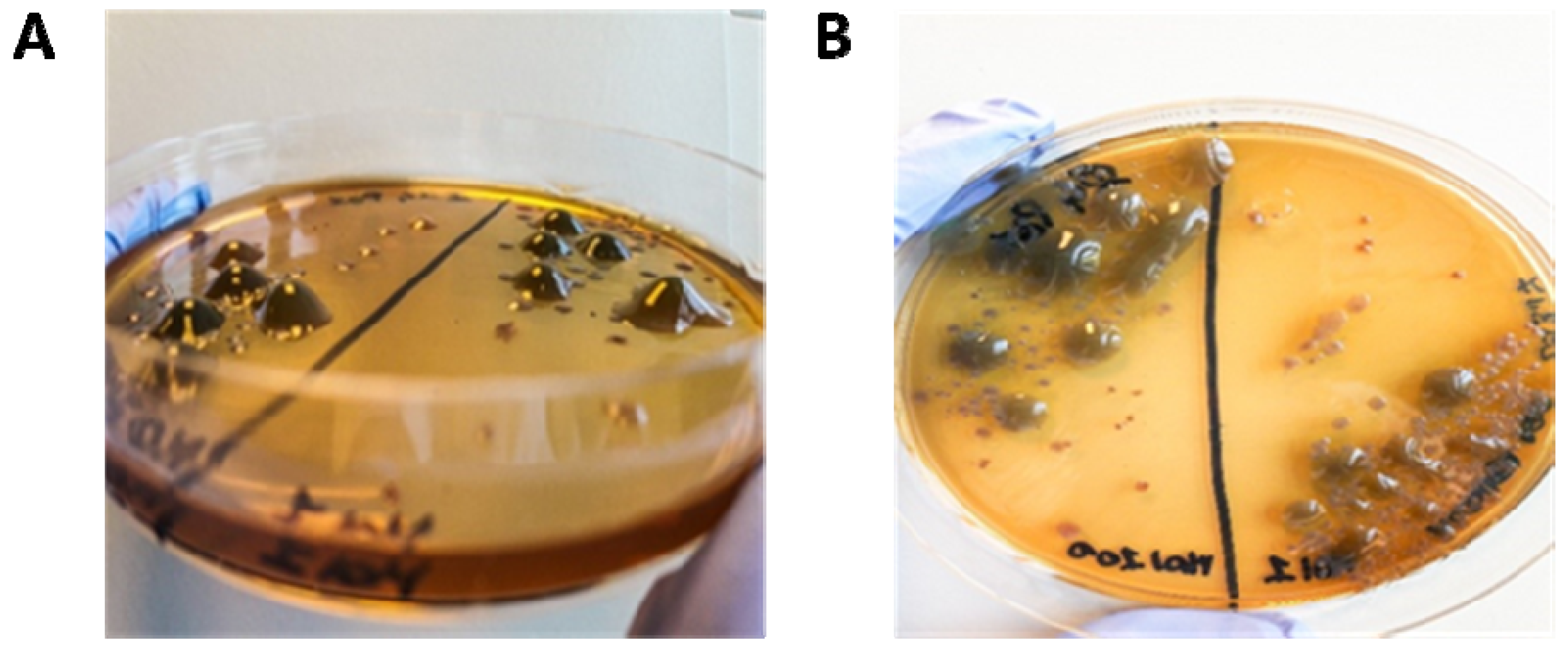 Microorganisms 09 00478 g006 Microorganisms 09 00478 g006