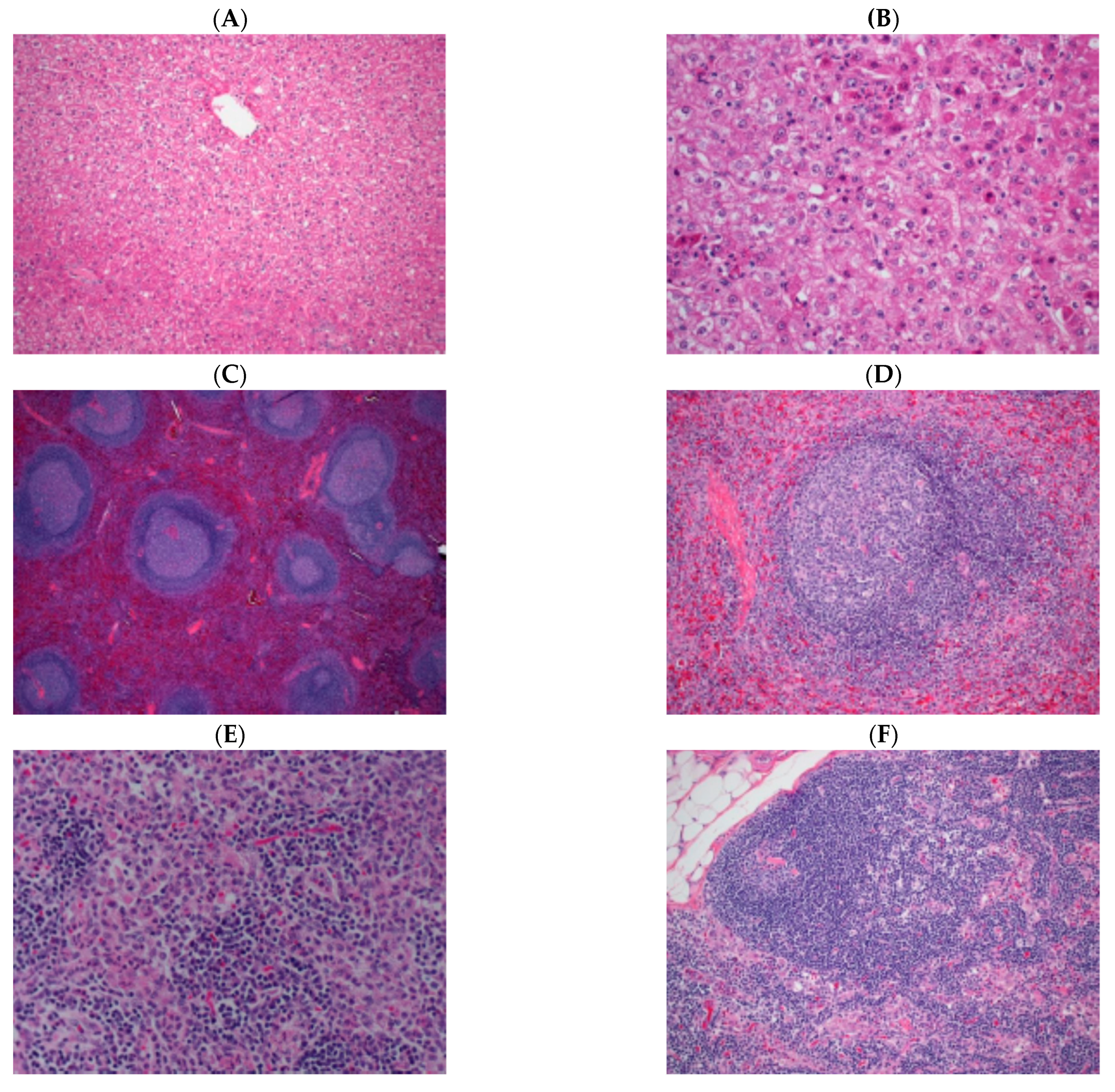 Microorganisms 09 00489 g008