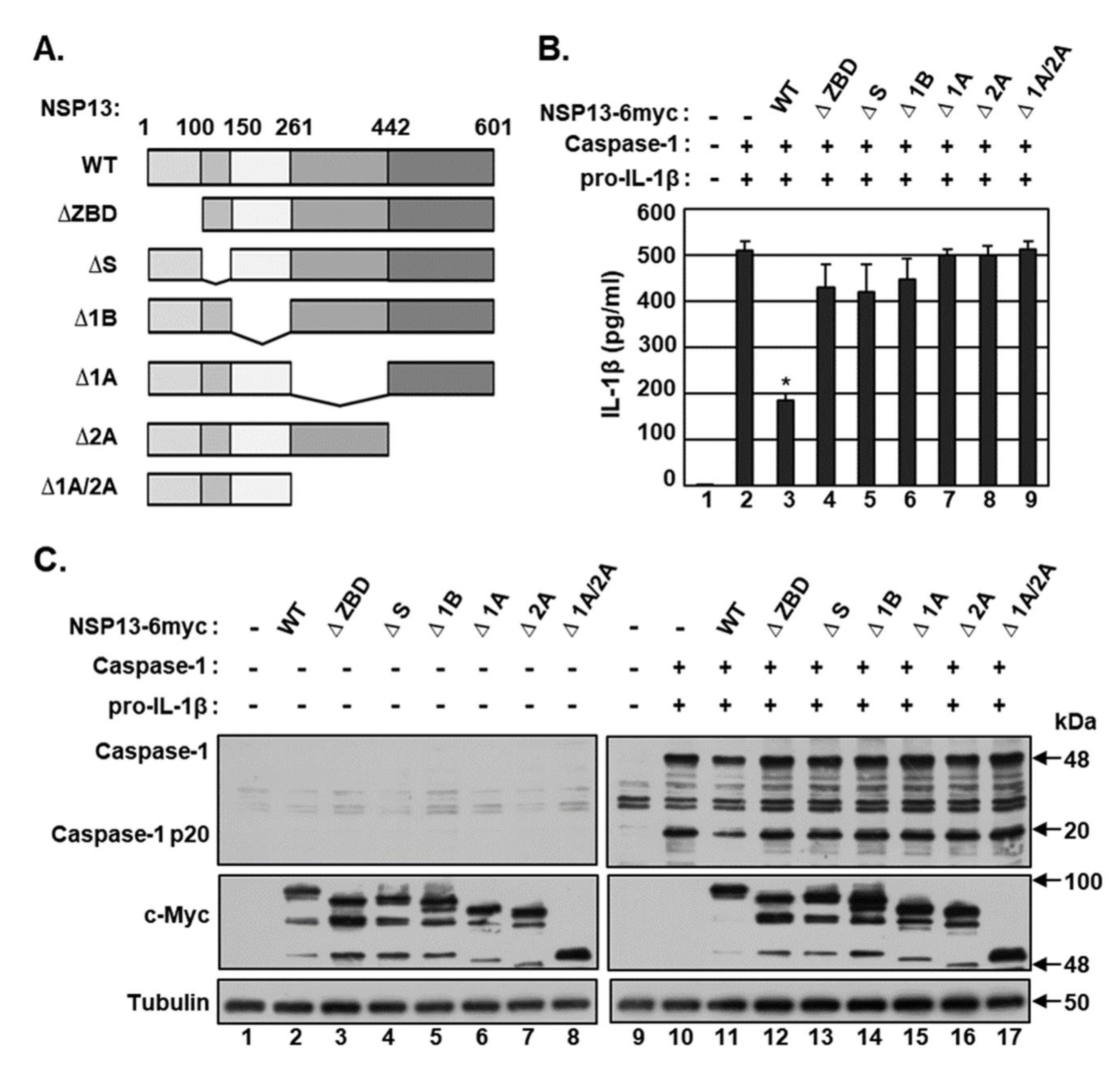 Microorganisms 09 00494 g003