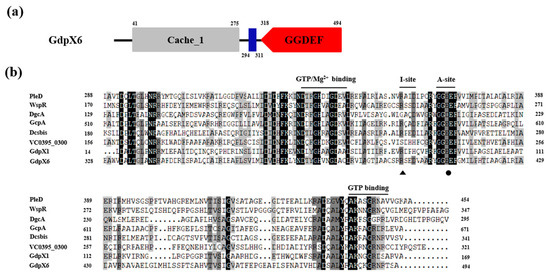 Diguanylate Cyclase GdpX6 with c-di-GMP Binding Activity