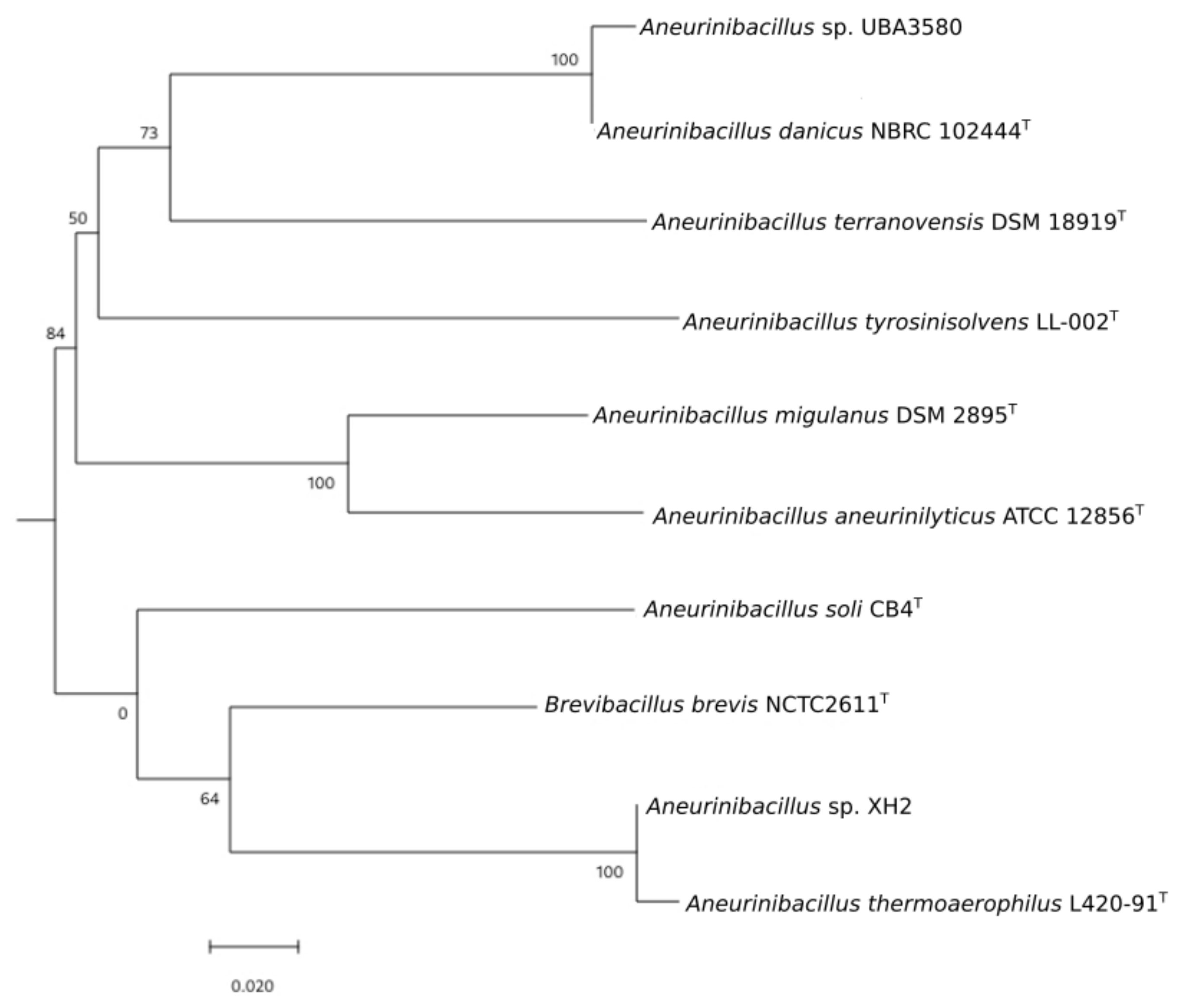 Microorganisms 09 00499 g001 Microorganisms 09 00499 g001