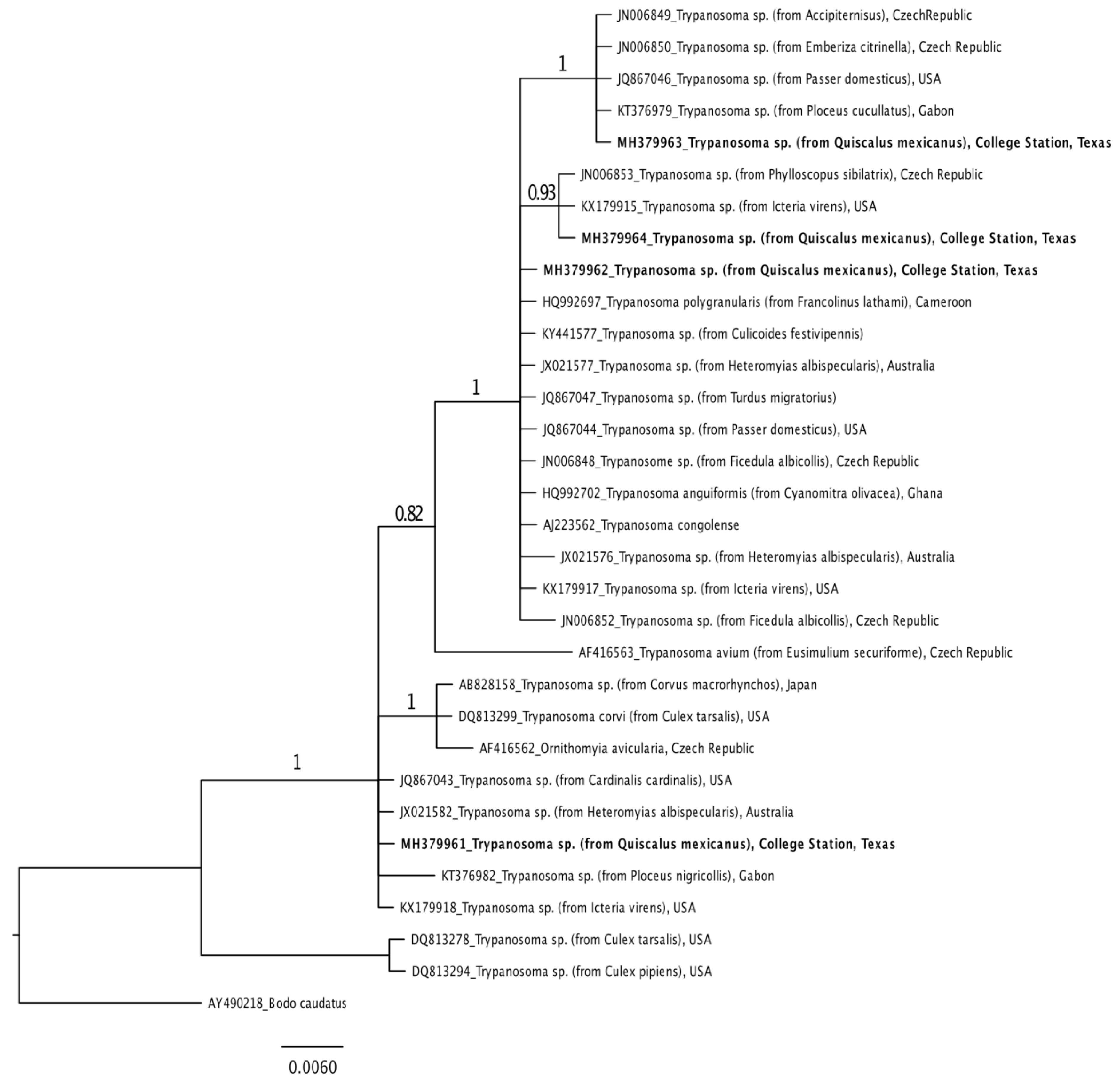 Microorganisms 09 00504 g002