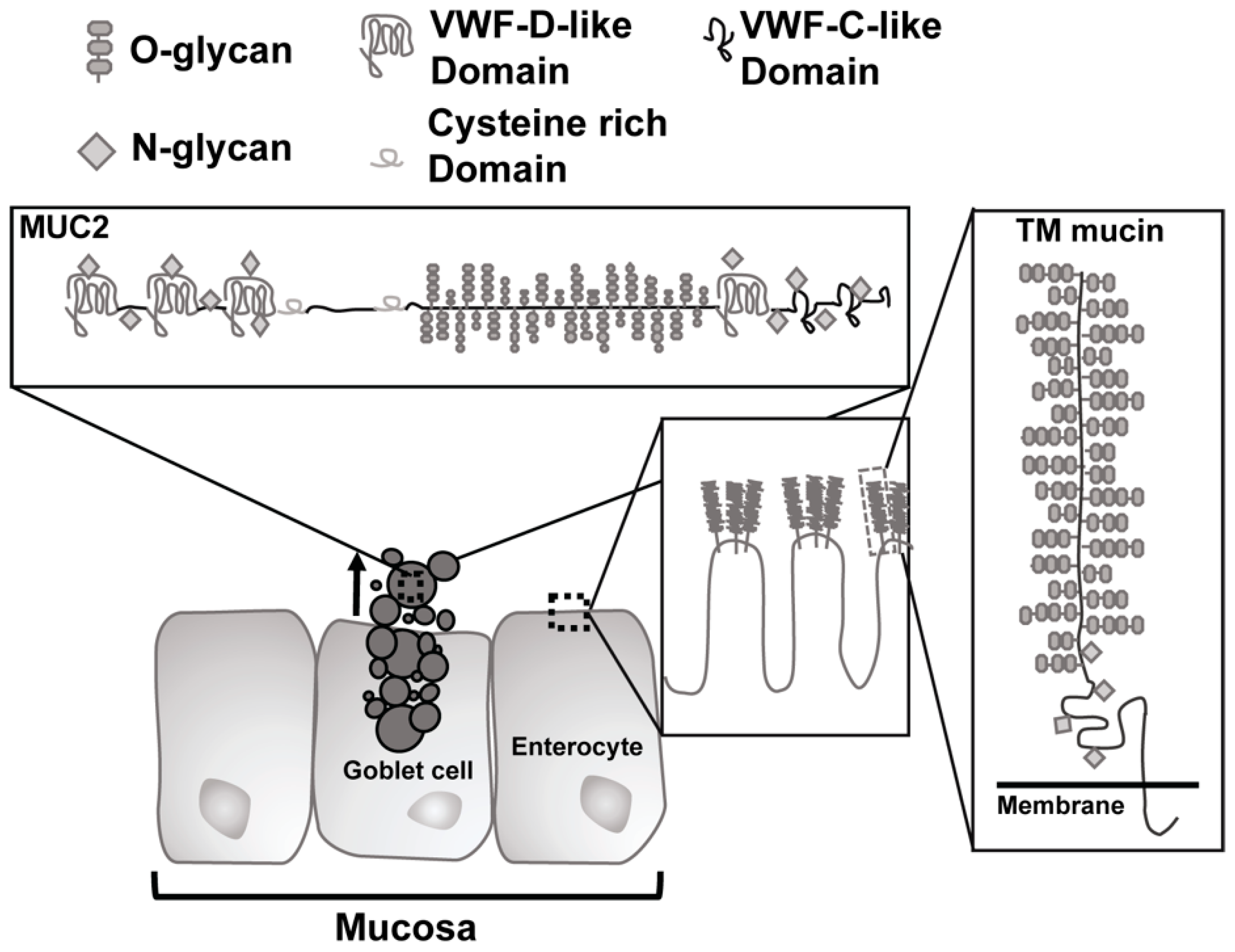 Microorganisms 09 00509 g001 Microorganisms 09 00509 g001
