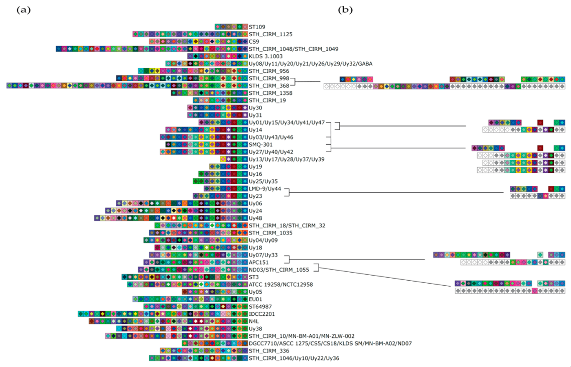 Microorganisms 09 00512 g001