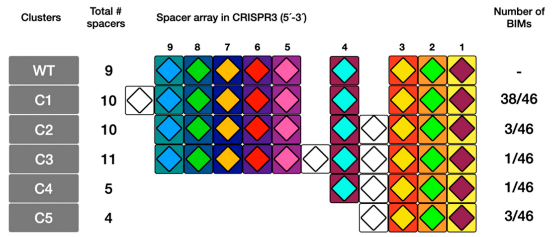 Microorganisms 09 00512 g003