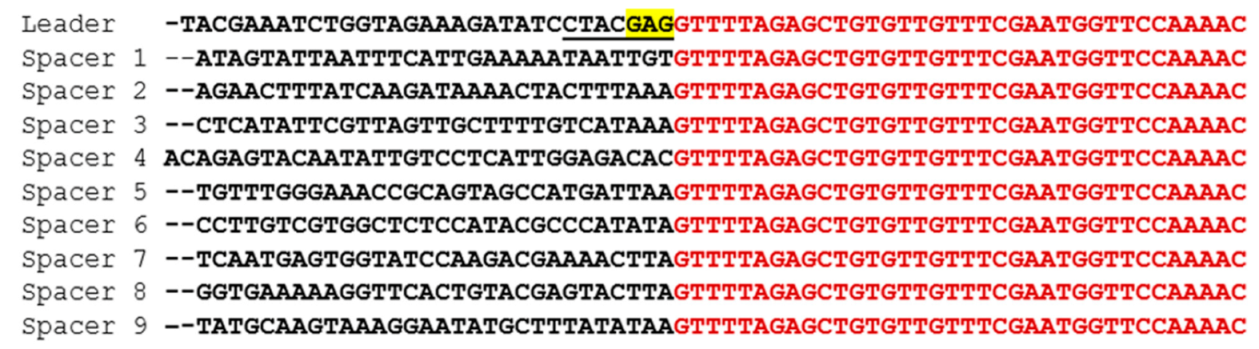 Microorganisms 09 00512 g005
