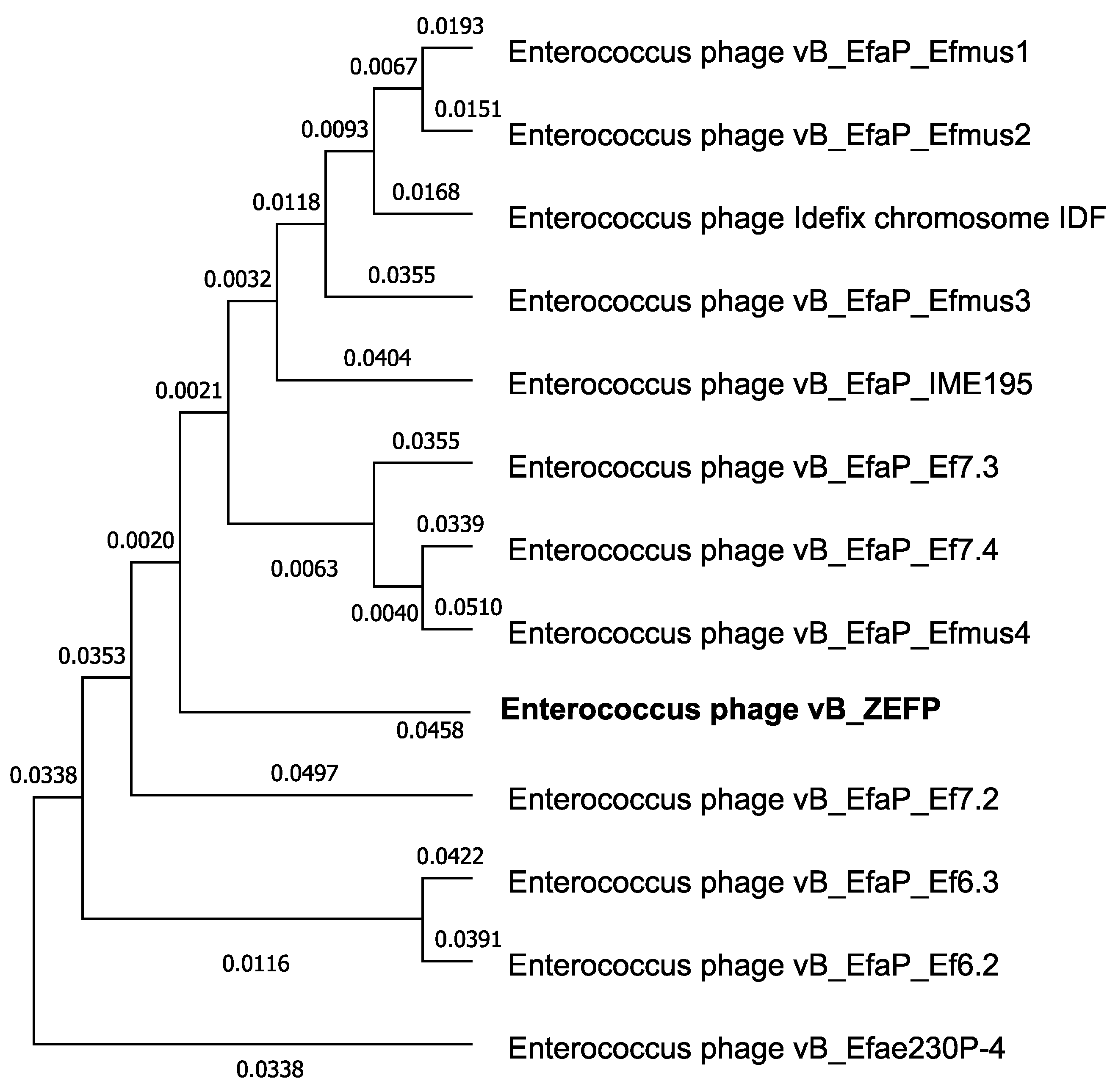 Microorganisms 09 00517 g006 Microorganisms 09 00517 g006