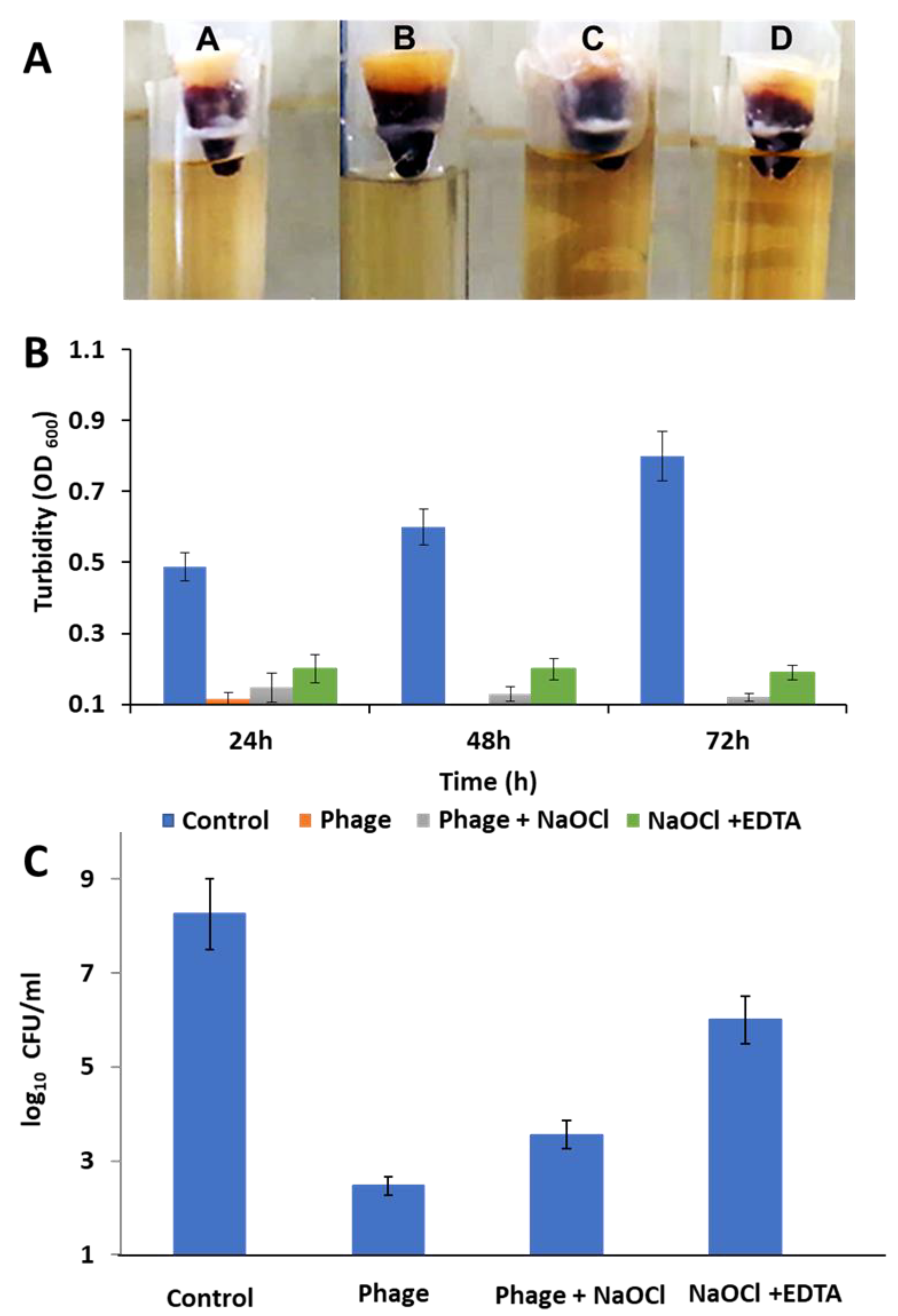 Microorganisms 09 00517 g007 Microorganisms 09 00517 g007