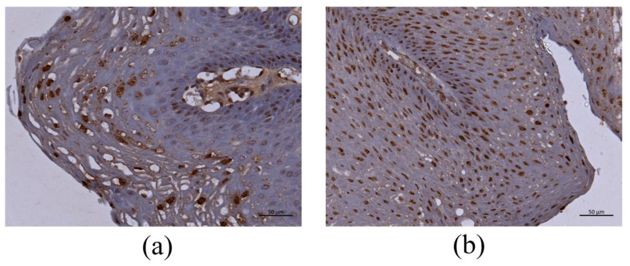 Microorganisms 09 00520 g002