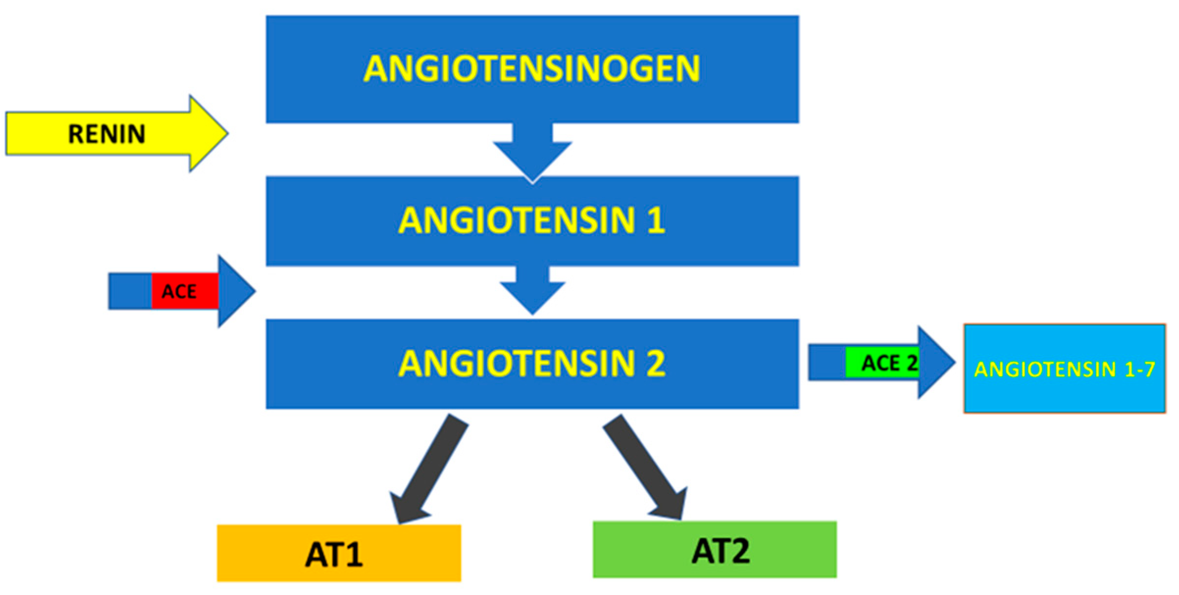 Microorganisms 09 00525 g001