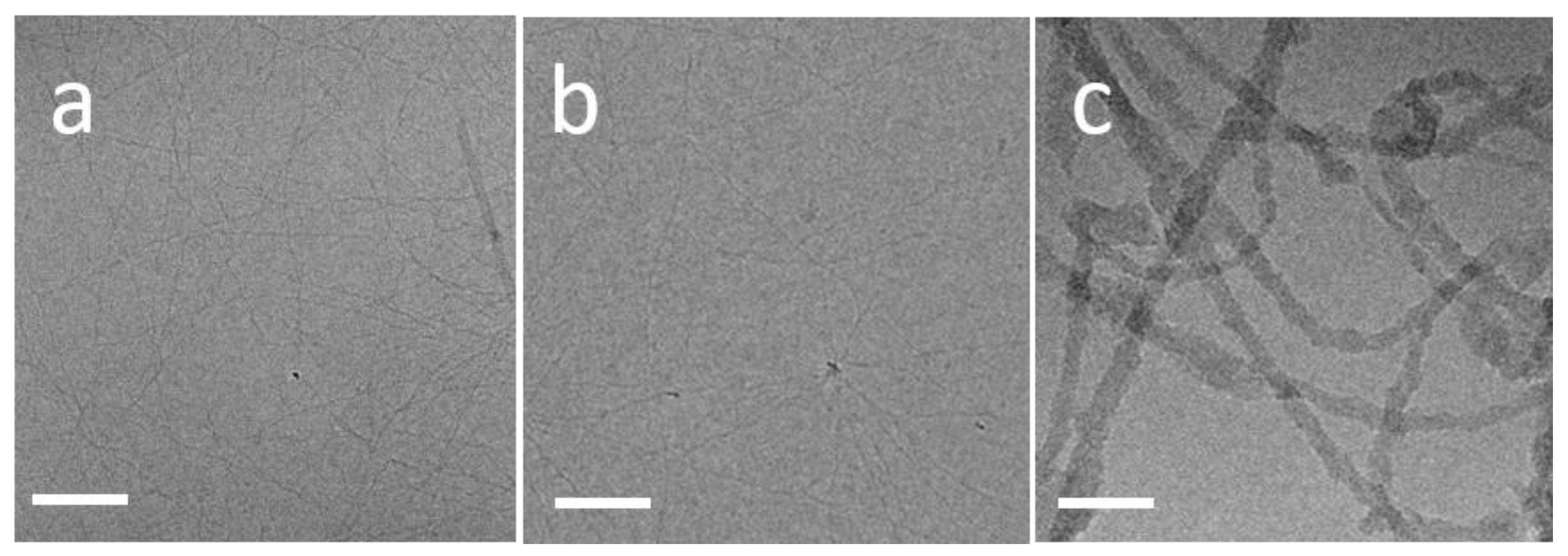 Microorganisms 09 00529 g001 Microorganisms 09 00529 g001