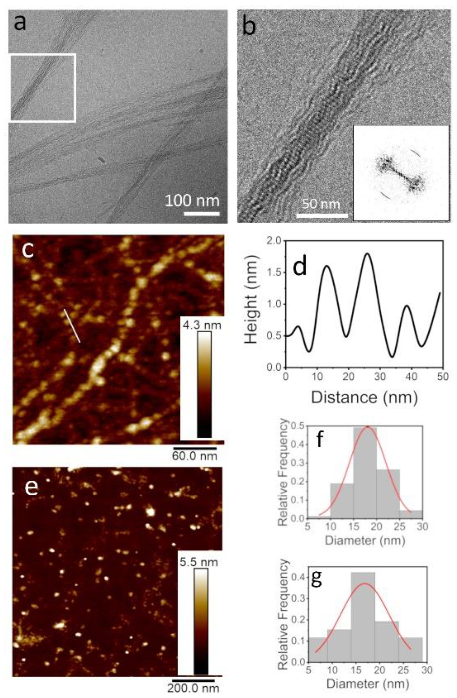 Microorganisms 09 00529 g002 Microorganisms 09 00529 g002