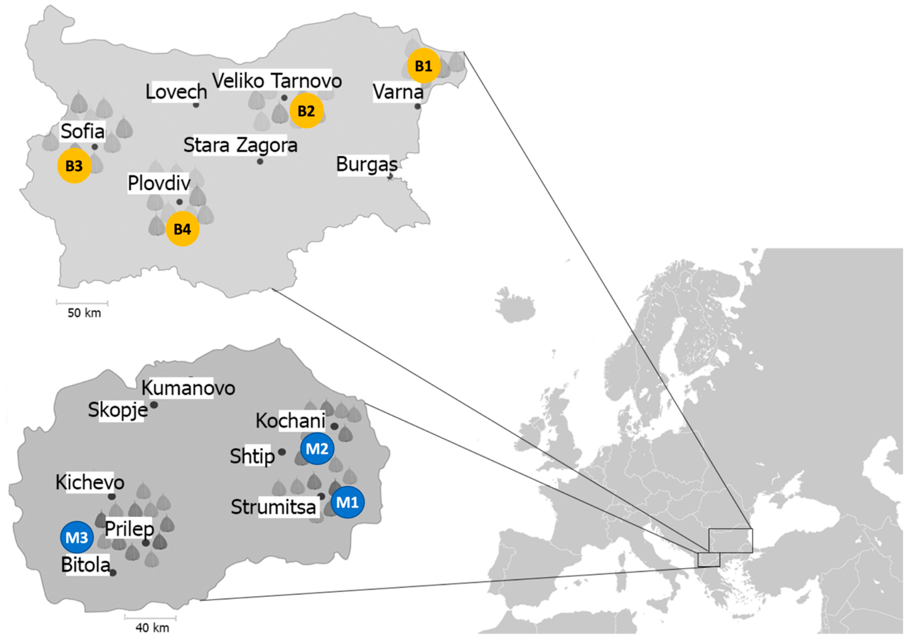Microorganisms 09 00536 g001 Microorganisms 09 00536 g001