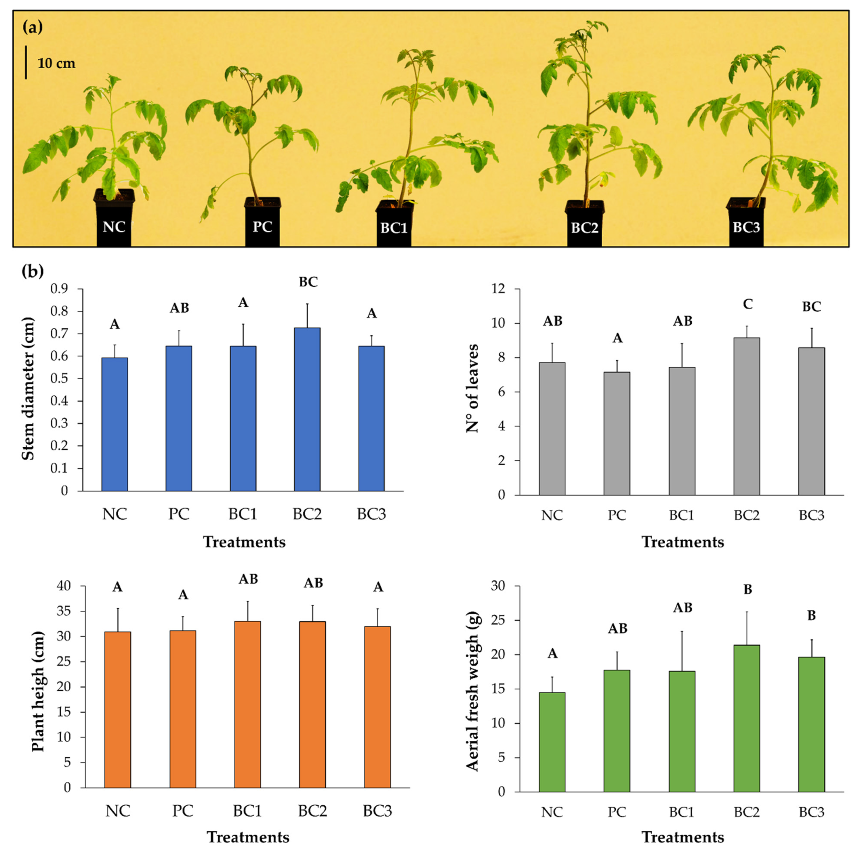 Microorganisms 09 00538 g006