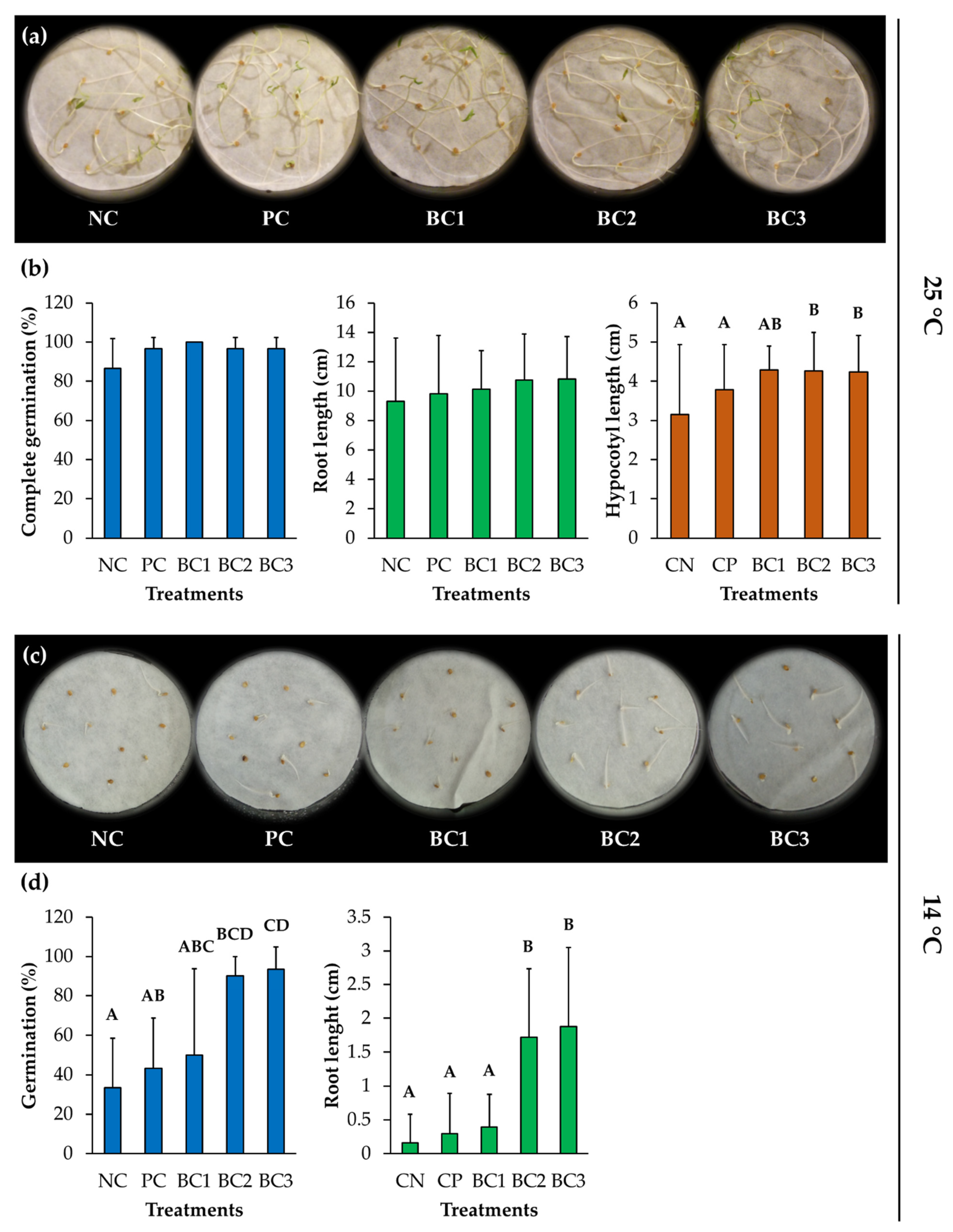 Microorganisms 09 00538 g007