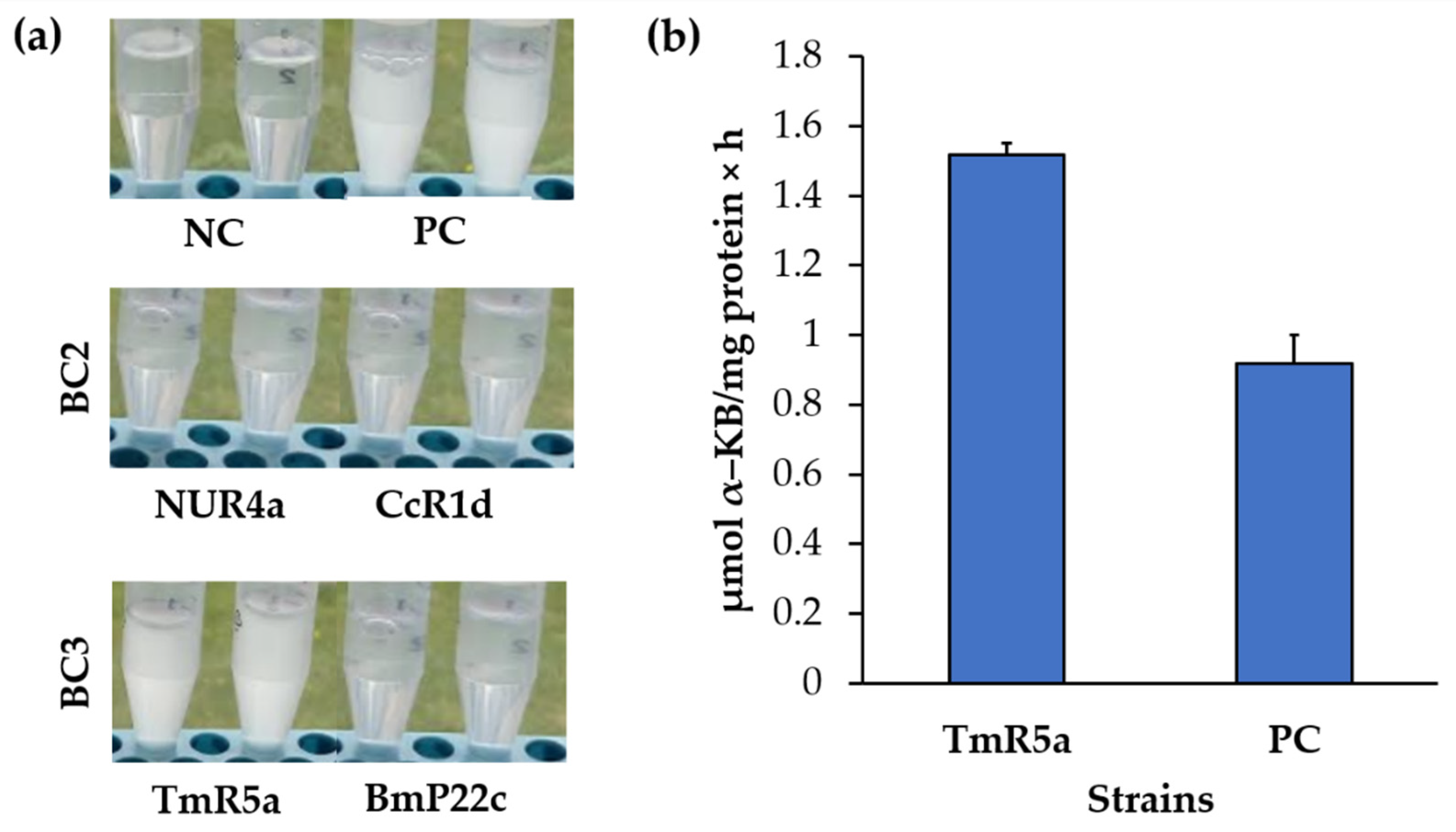 Microorganisms 09 00538 g009
