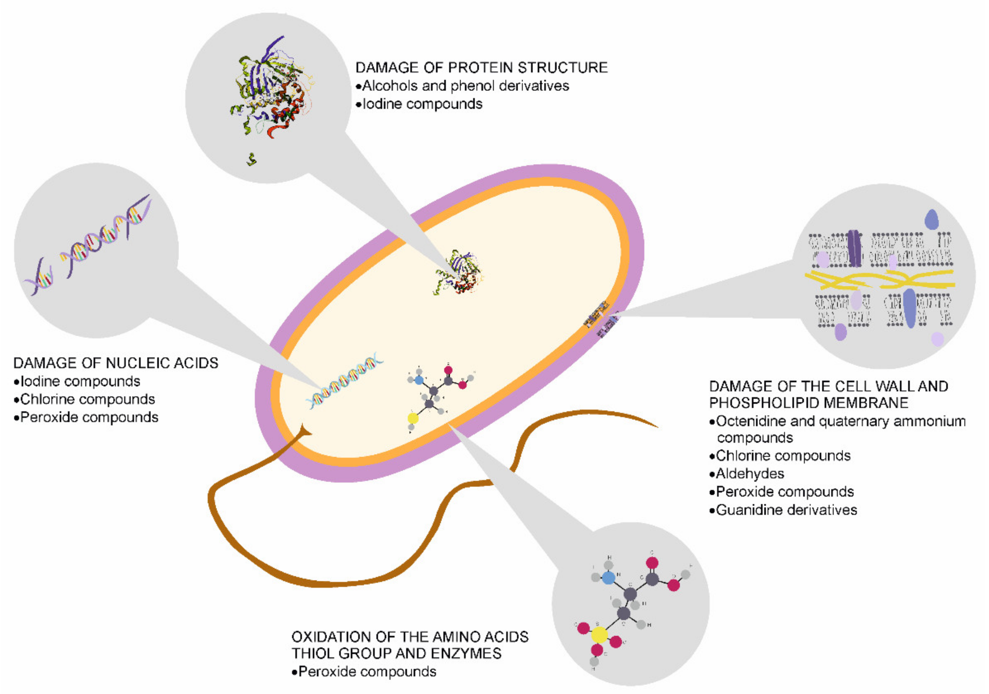 Microorganisms 09 00543 g004