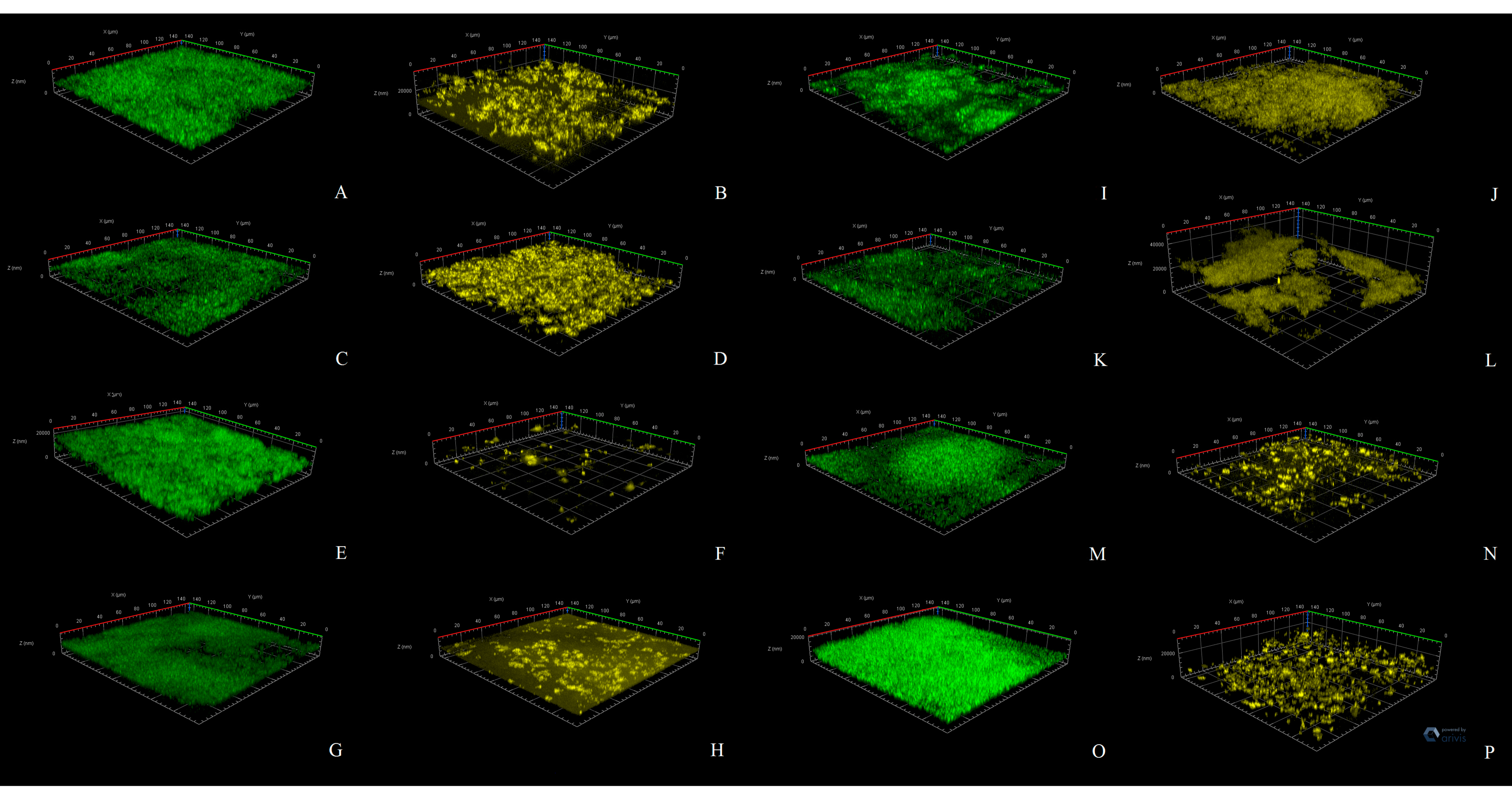 Microorganisms 09 00552 g006 Microorganisms 09 00552 g006