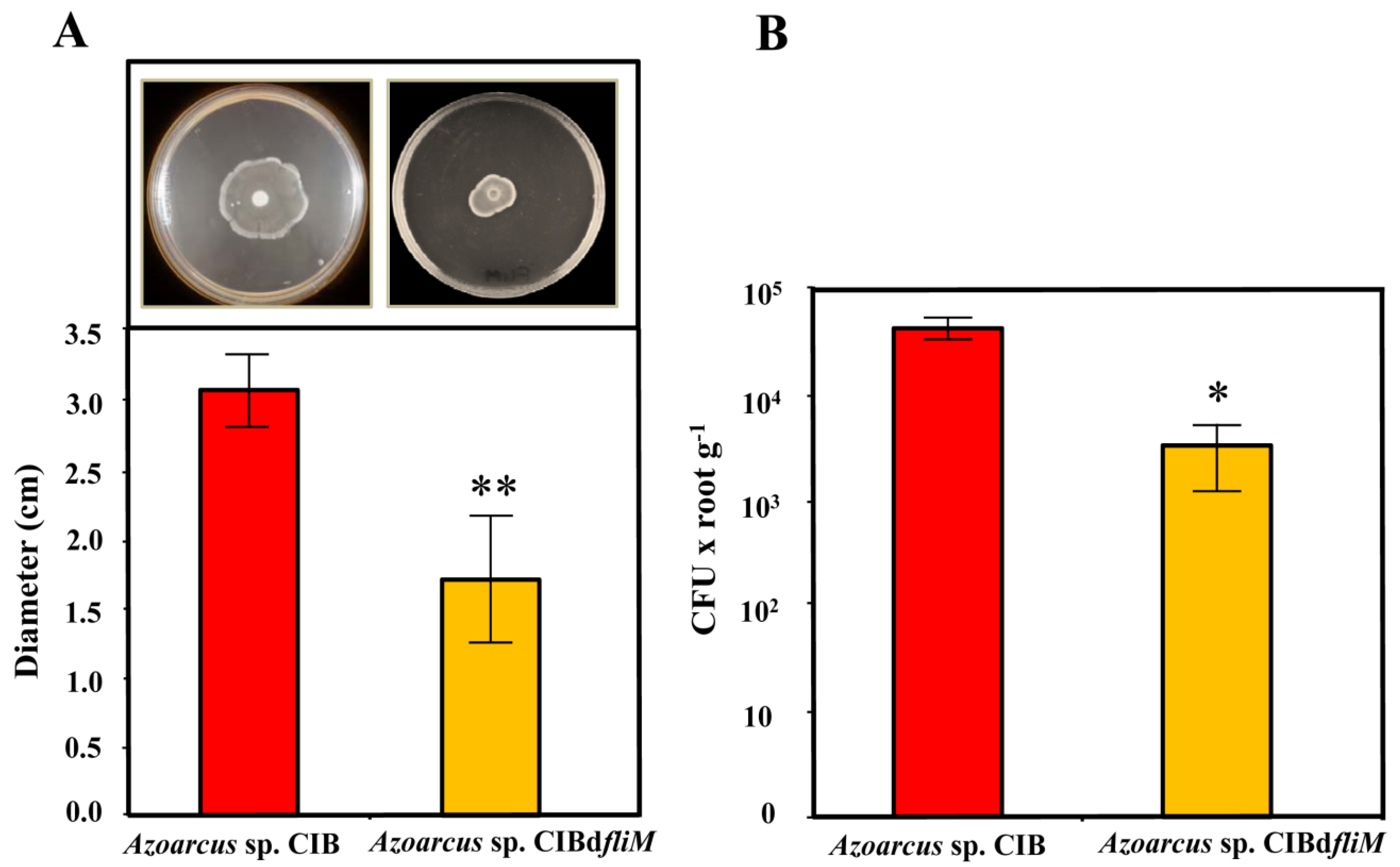 Microorganisms 09 00554 g001 Microorganisms 09 00554 g001