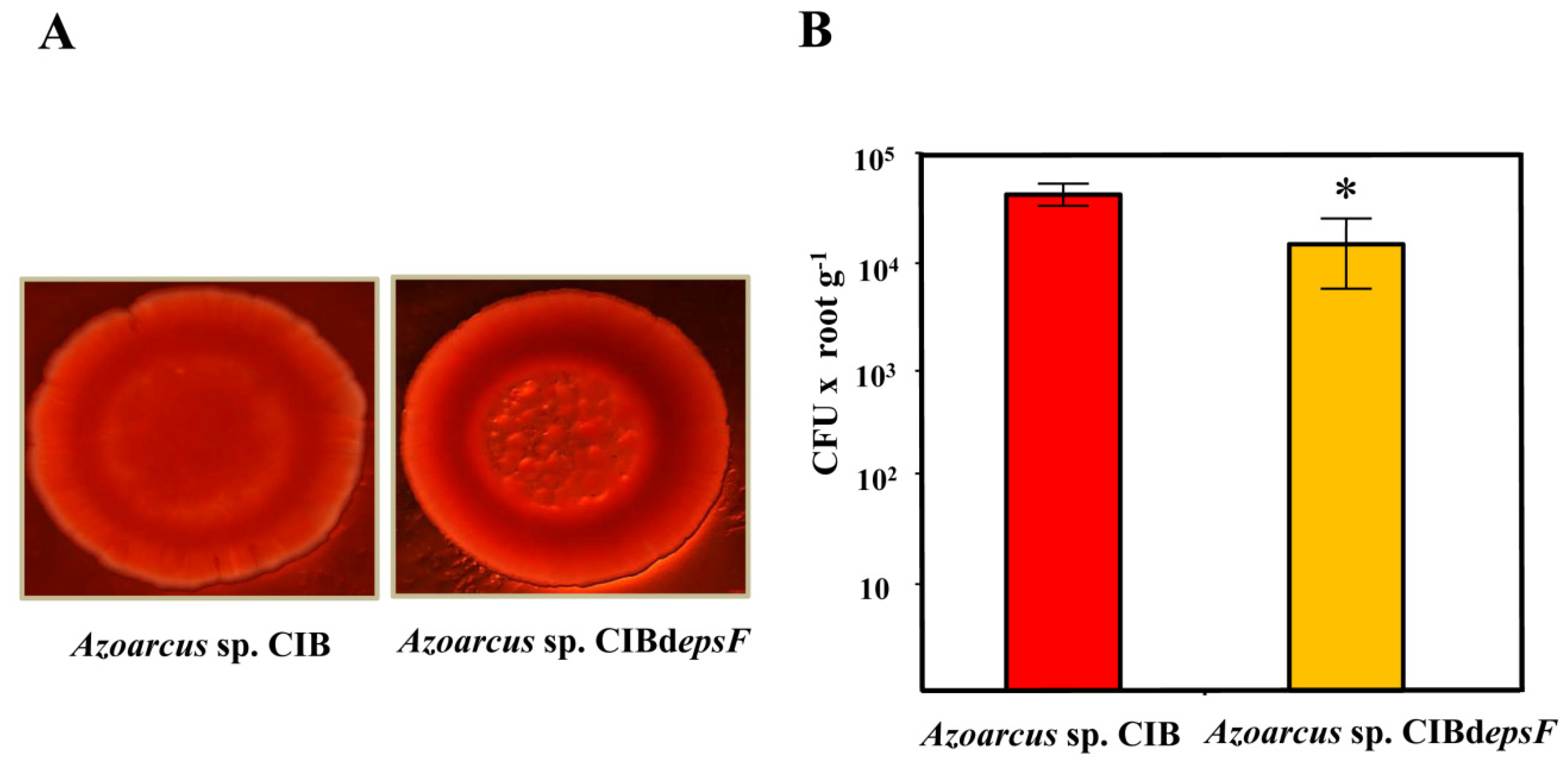 Microorganisms 09 00554 g003 Microorganisms 09 00554 g003