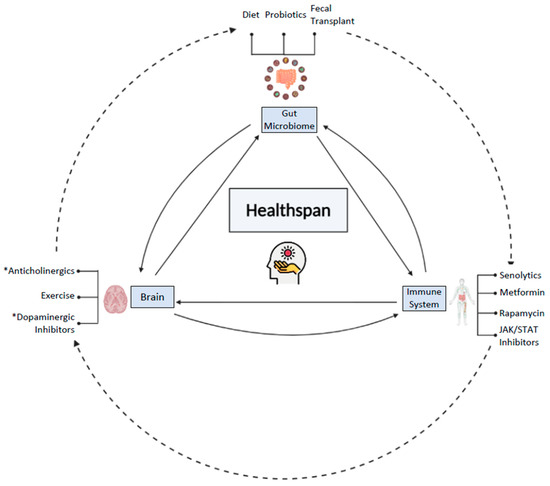 microorganisms free full text young at gut turning back the clock with the gut microbiome html