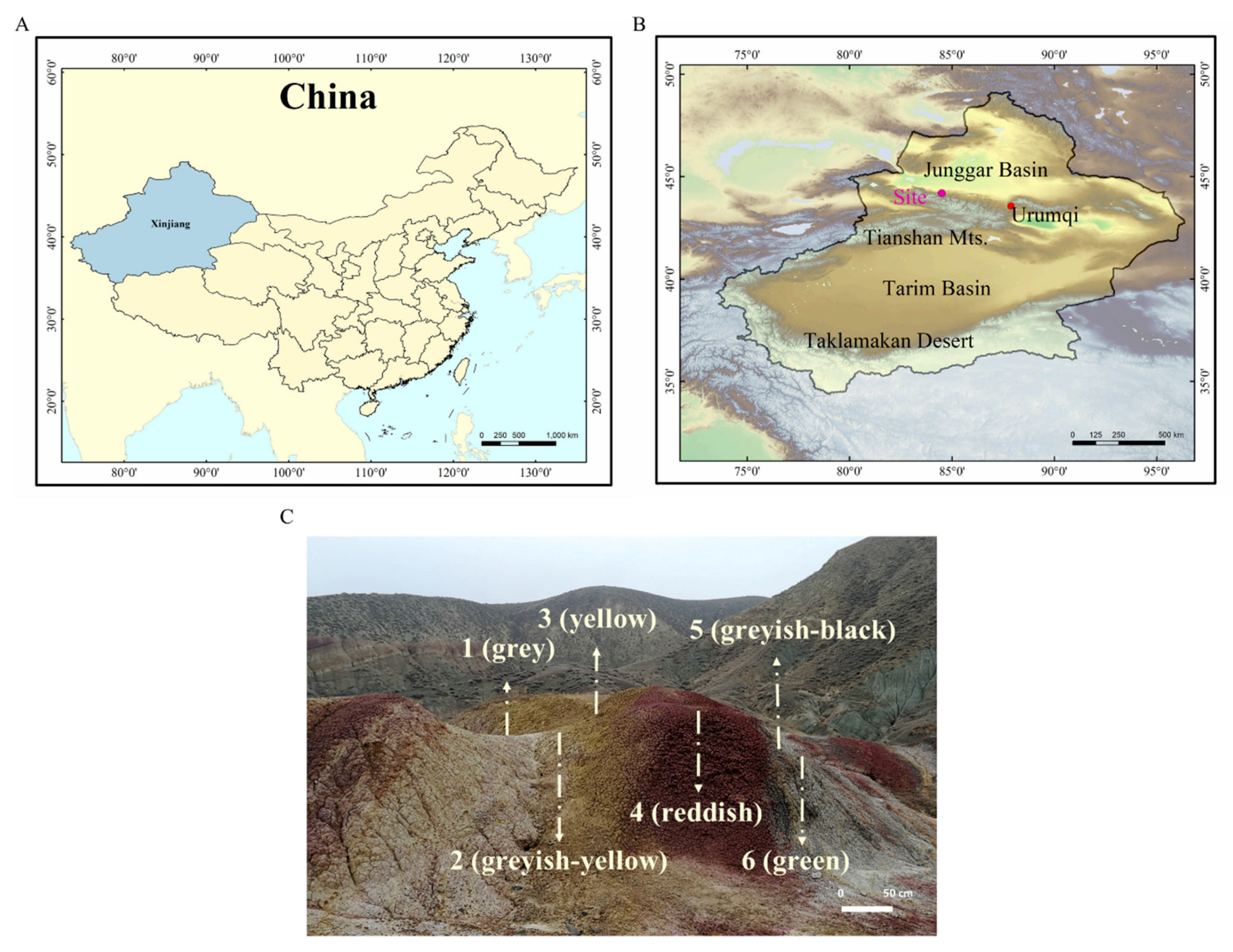 Microorganisms 09 00560 g001