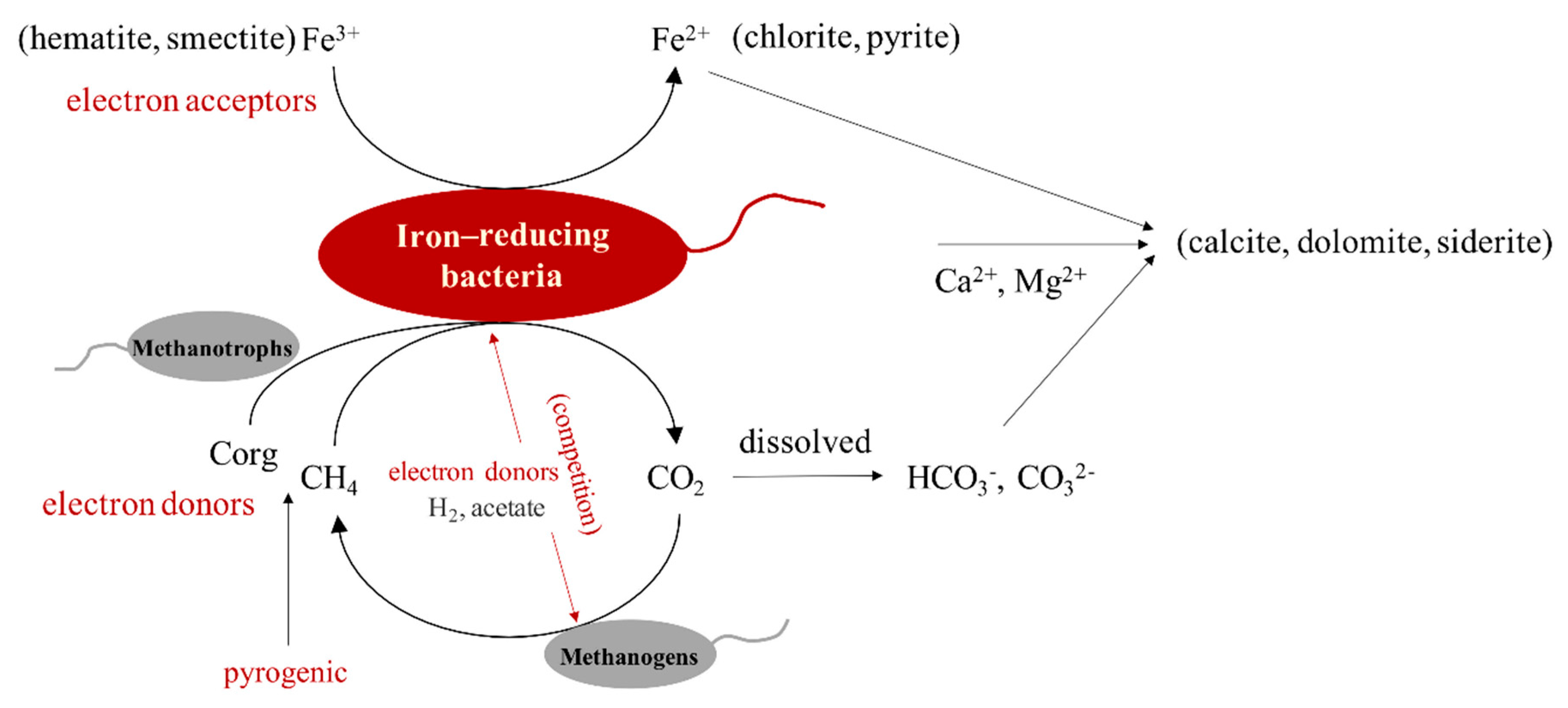 Microorganisms 09 00560 g006