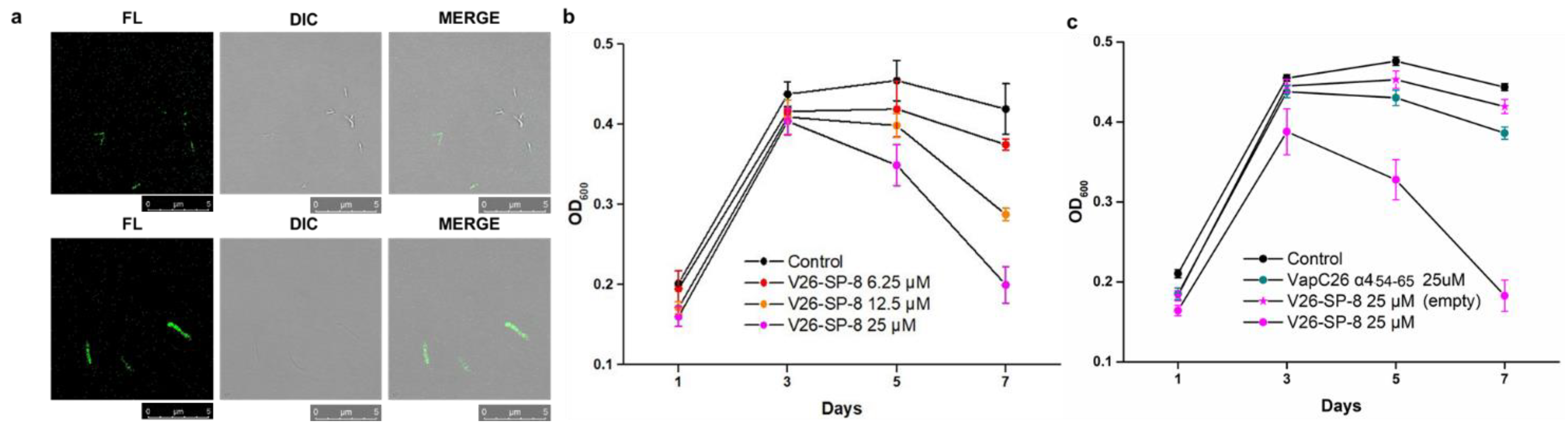 Microorganisms 09 00568 g004 Microorganisms 09 00568 g004