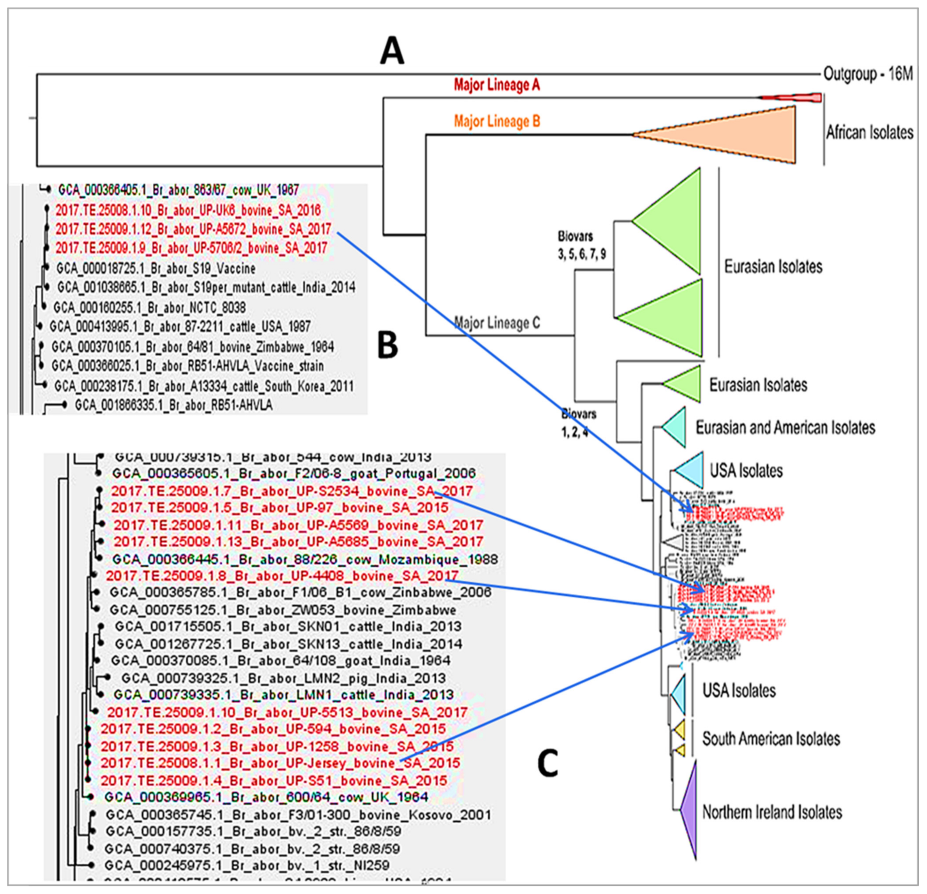 Microorganisms 09 00570 g003 Microorganisms 09 00570 g003