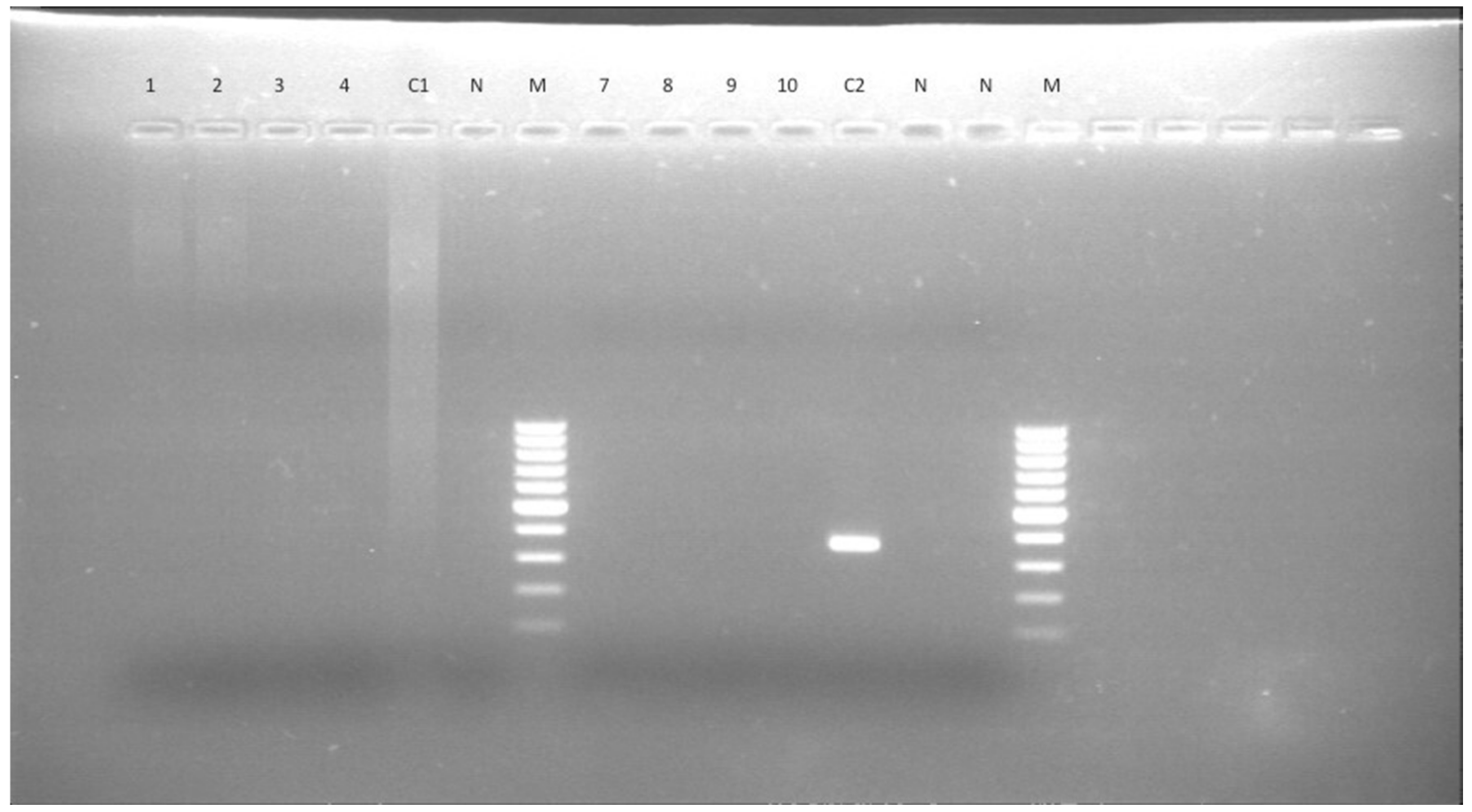 Microorganisms 09 00571 g001 Microorganisms 09 00571 g001