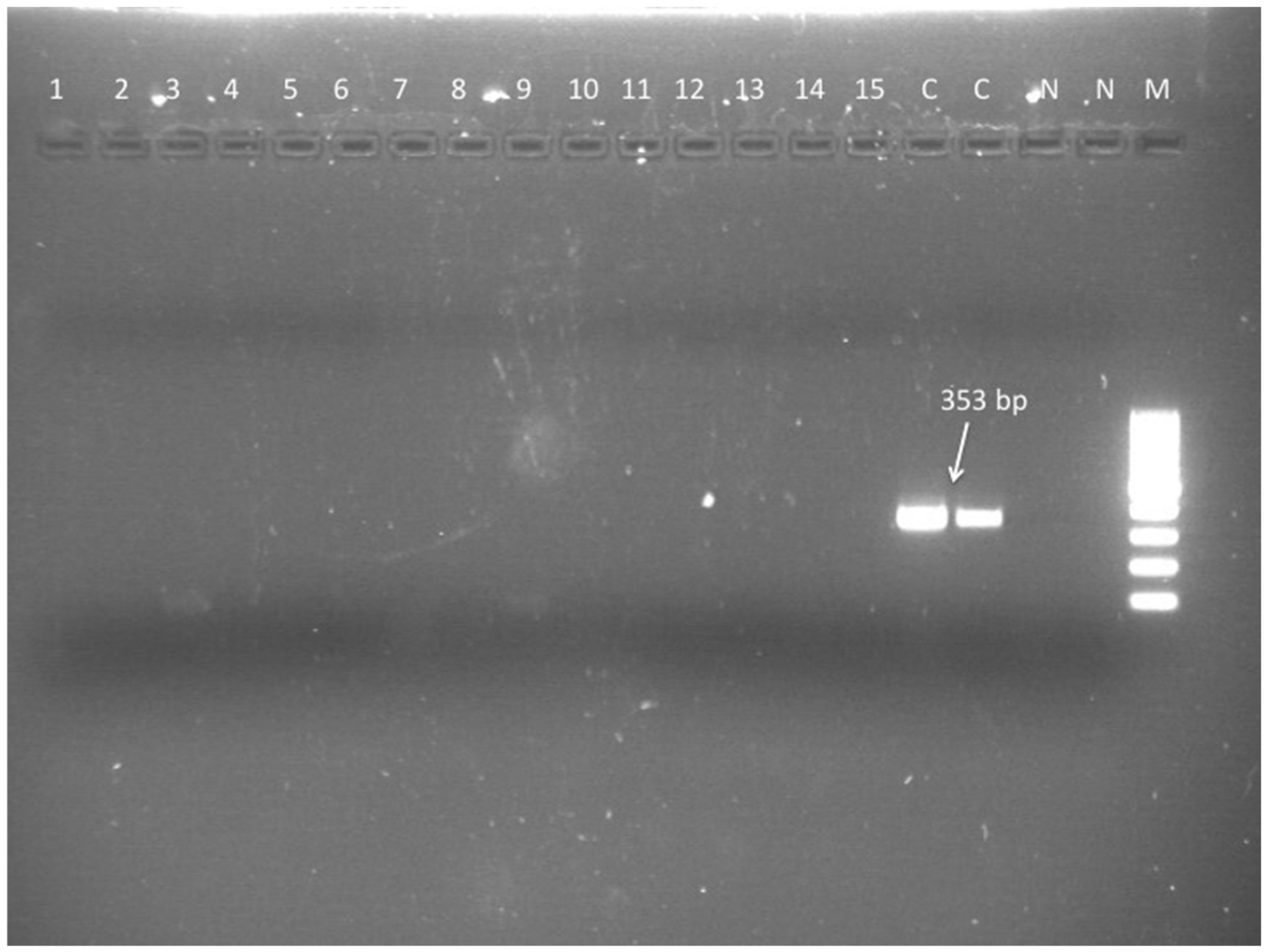 Microorganisms 09 00571 g002 Microorganisms 09 00571 g002