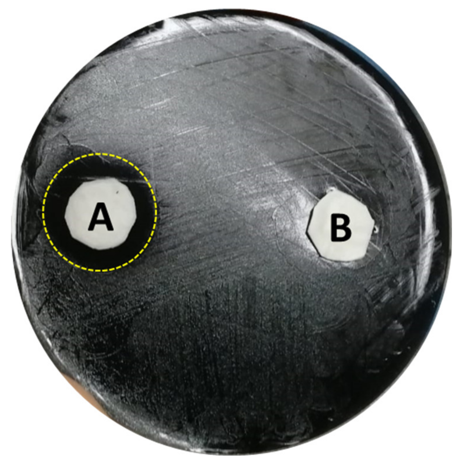 Microorganisms 09 00577 g002