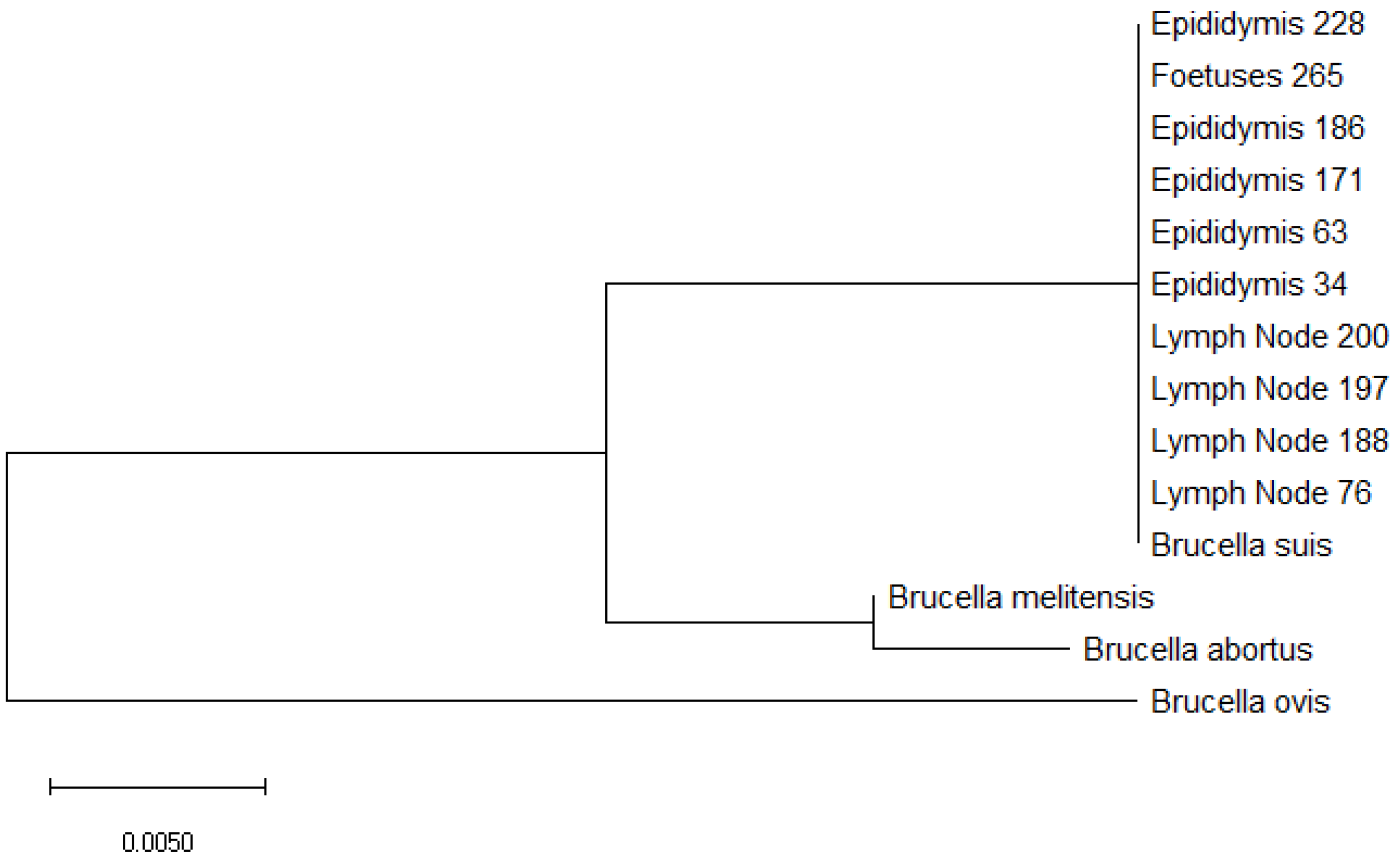 Microorganisms 09 00582 g002 Microorganisms 09 00582 g002
