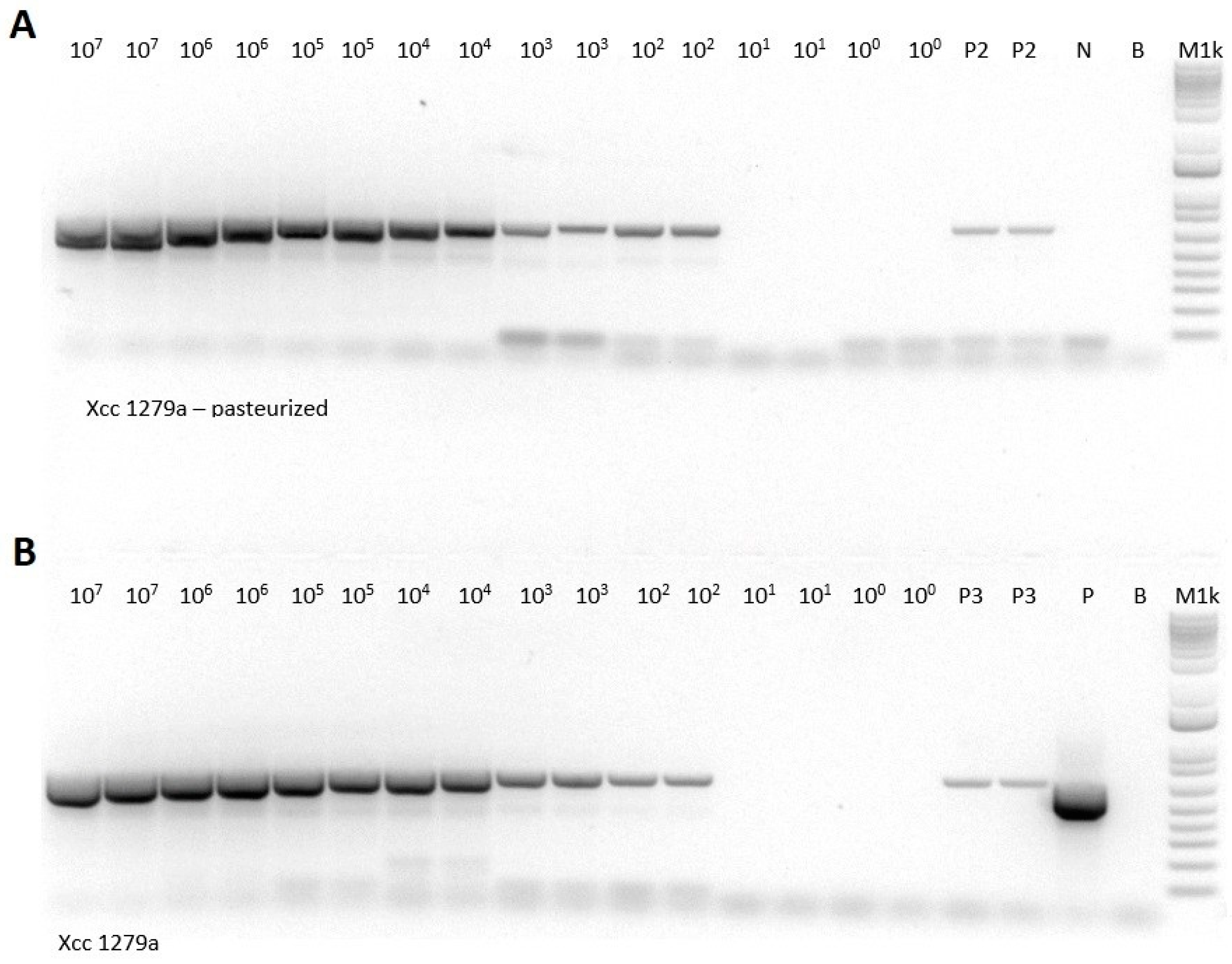 Microorganisms 09 00591 g0a1 Microorganisms 09 00591 g0a1