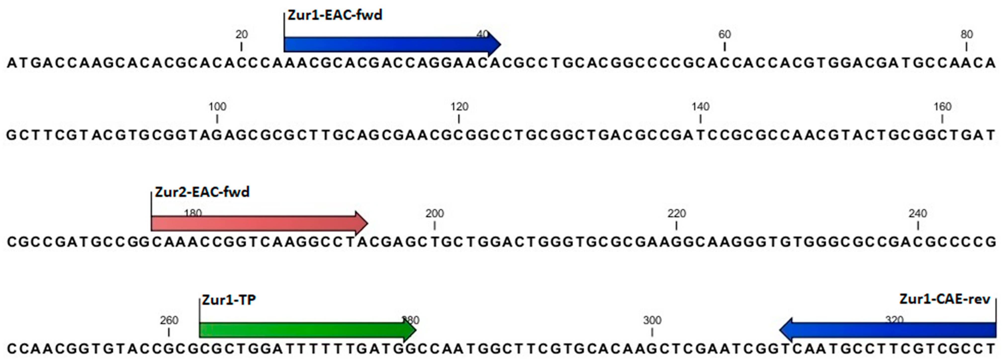 Microorganisms 09 00591 g0a3 Microorganisms 09 00591 g0a3