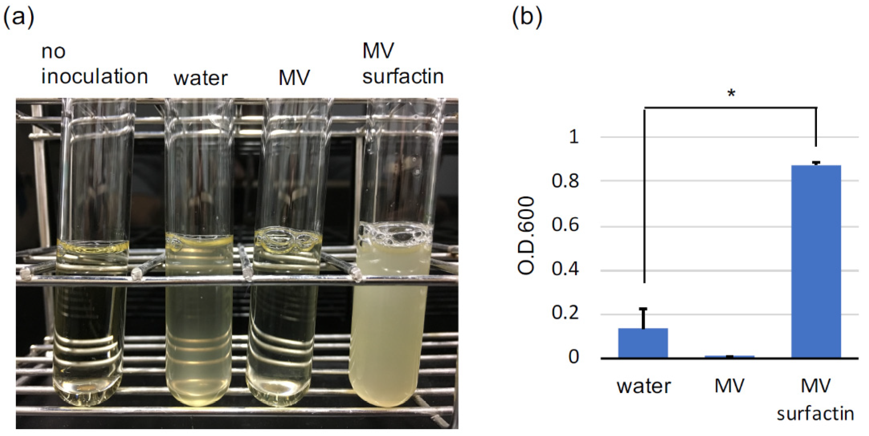 Microorganisms 09 00593 g001 Microorganisms 09 00593 g001