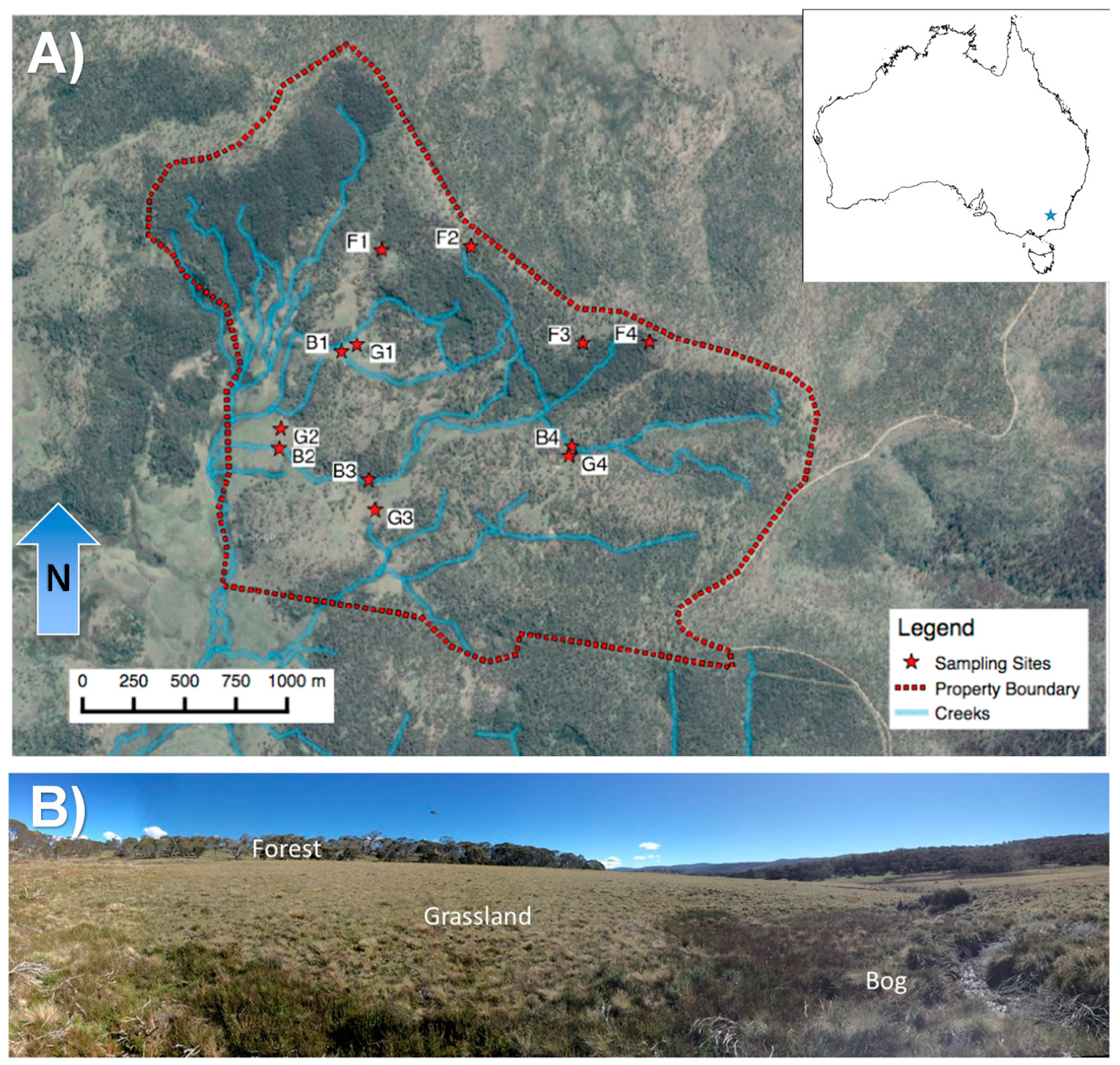 Microorganisms Free Full-Text Disproportionate CH4 Sink Strength from an Endemic, Sub-Alpine Australian Soil Microbial Community | HTML